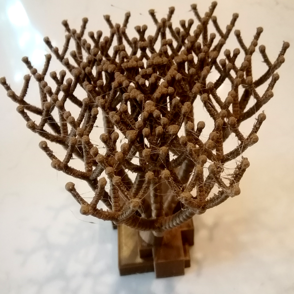 ES Cactus