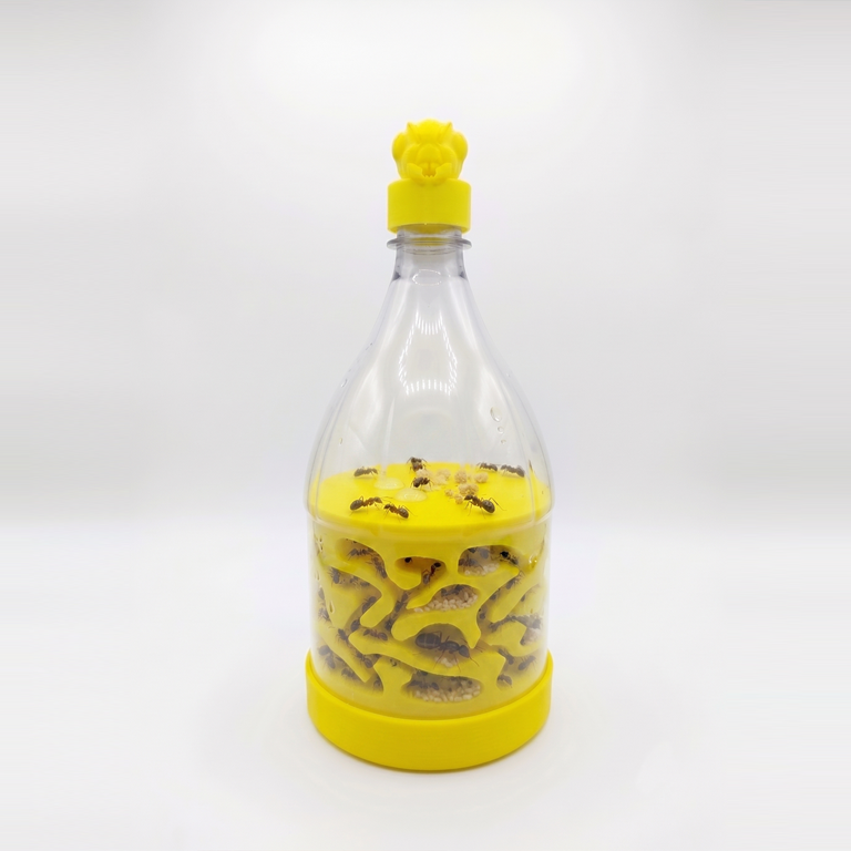 置物 Bottle bancq Ant DIY PET Bottle Ant Farm Core with Ant Head Cap (Educational 360