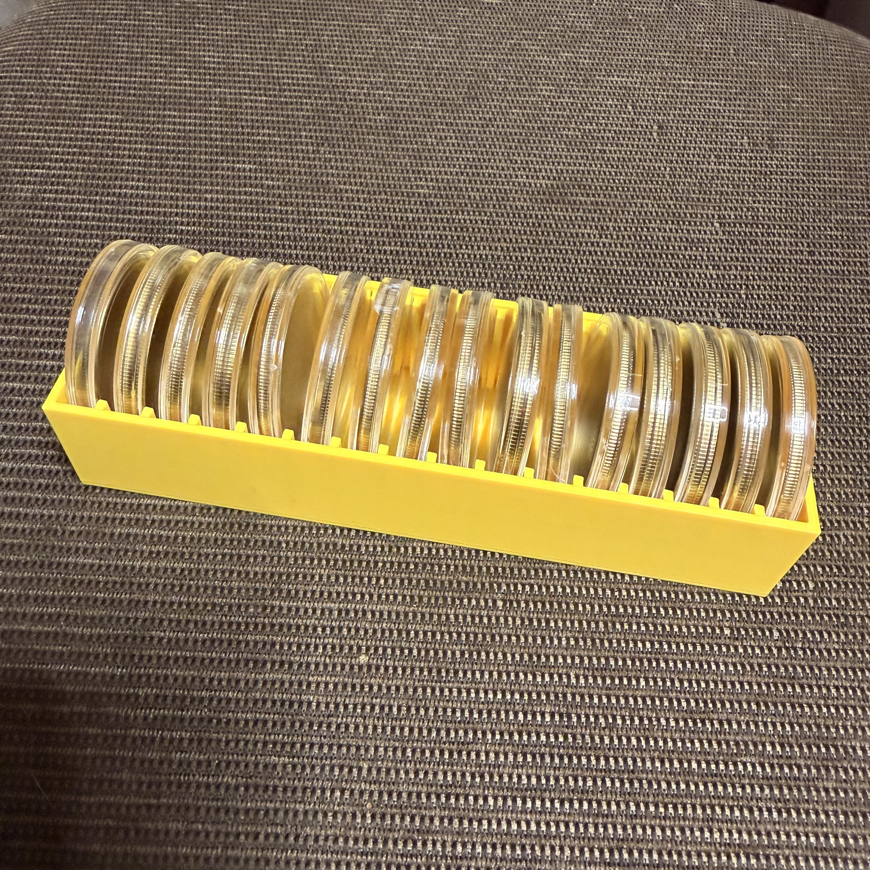 Blank 40 mm Coin & Capsule Organizer 16 coins