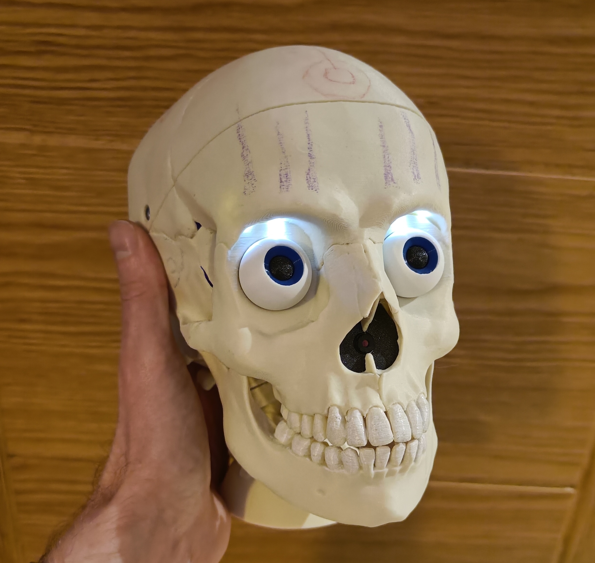 Skully - Animatronic interactive robotic skull