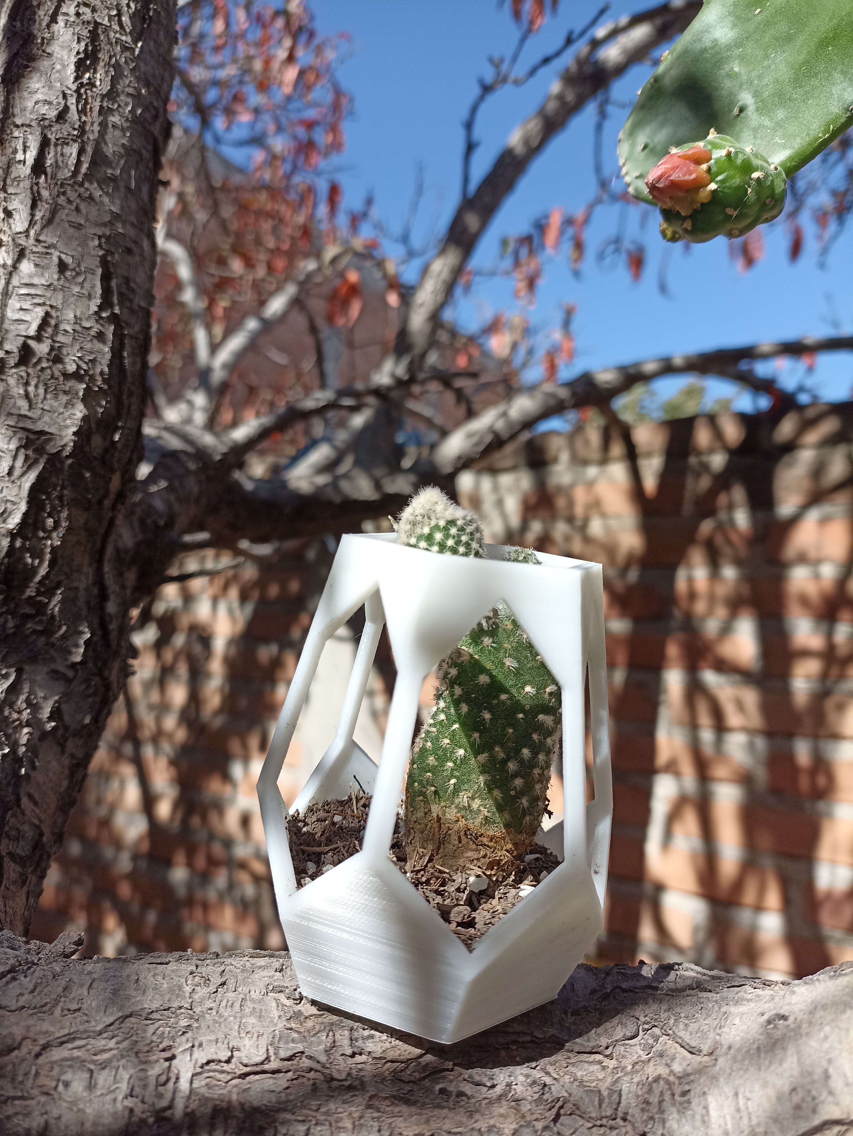 Miniatura 4 do modelo 3D hexagonal planter for tree