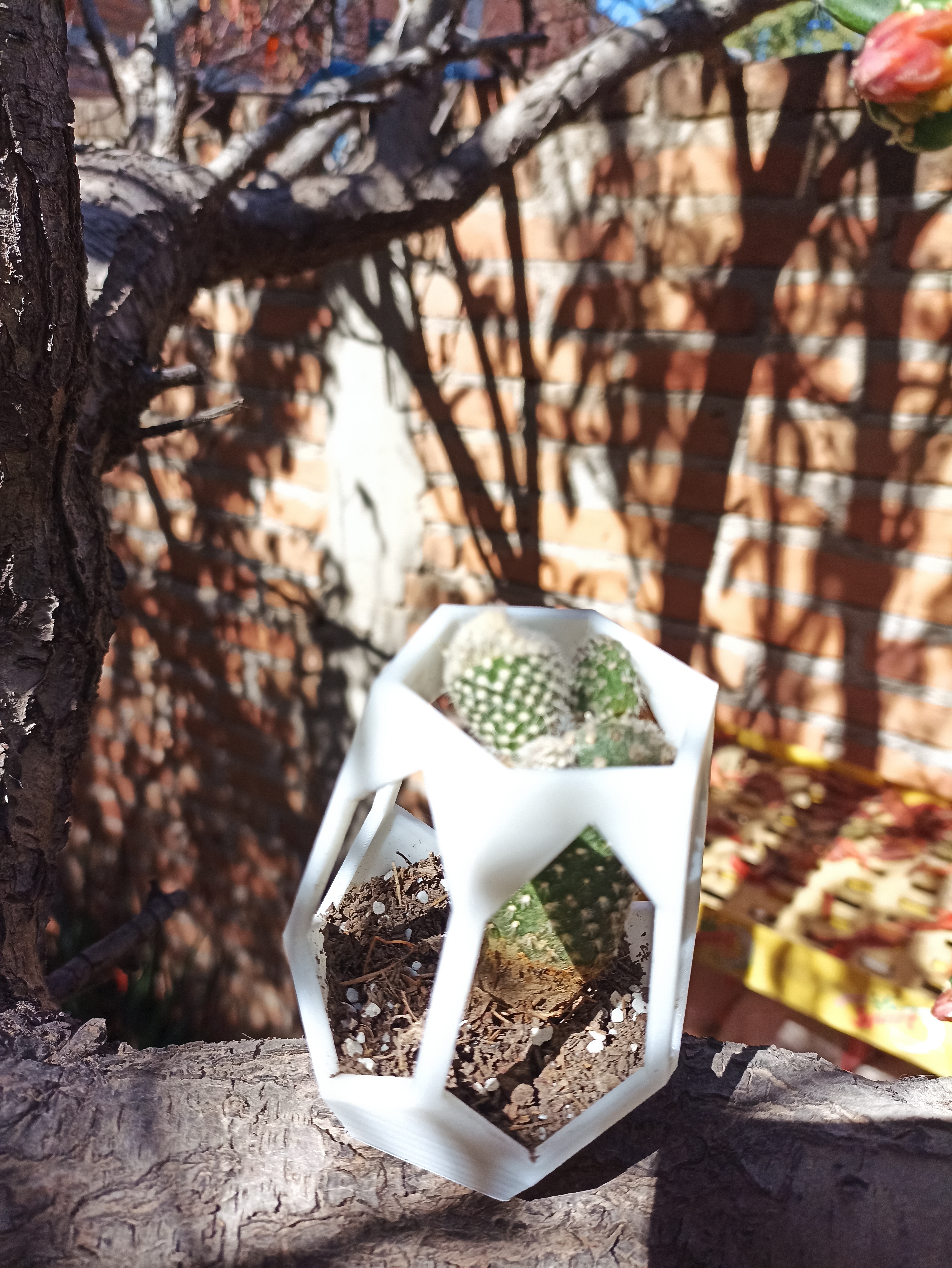 Miniatura 3 do modelo 3D hexagonal planter for tree