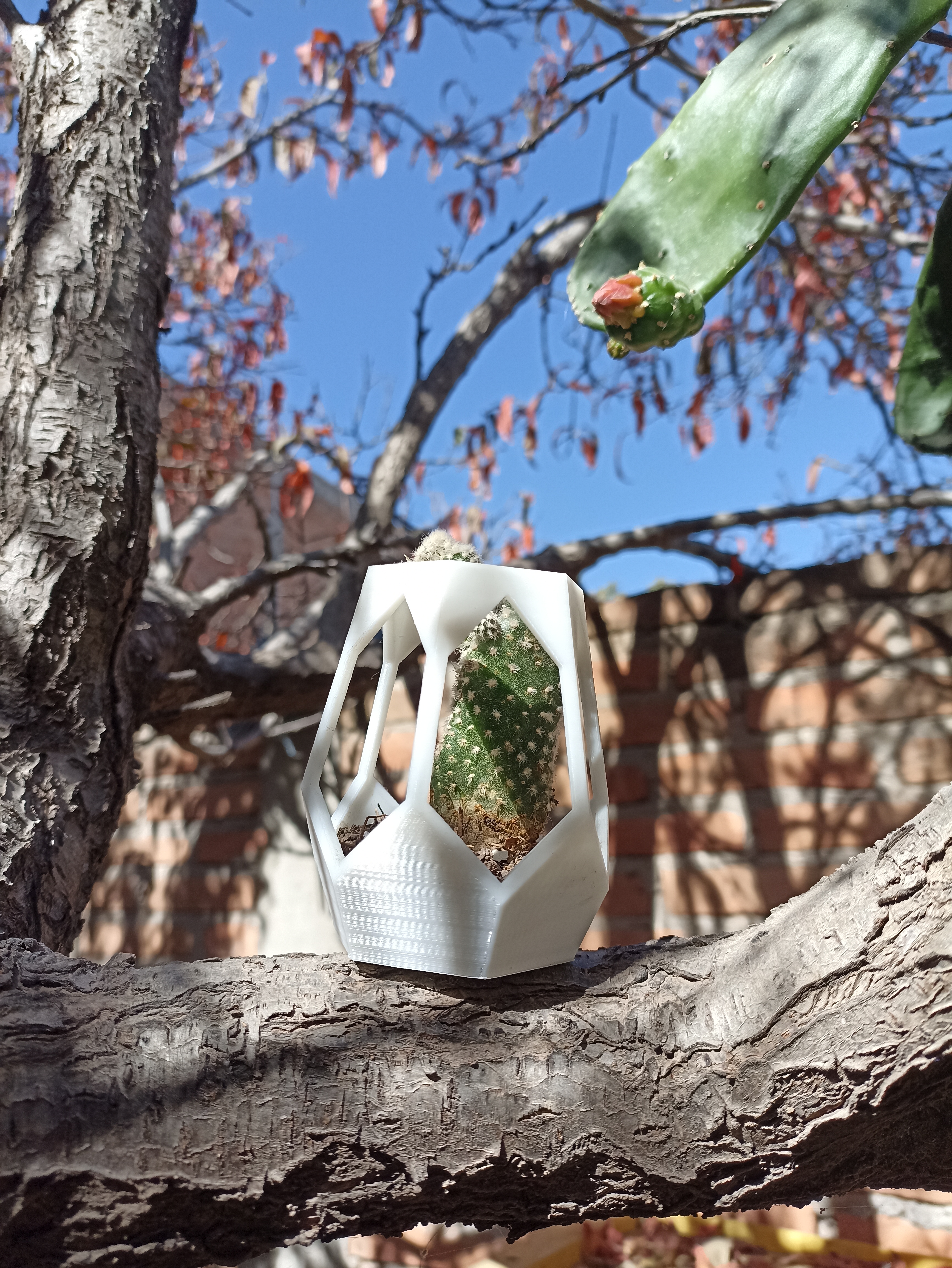 Miniatura 2 do modelo 3D hexagonal planter for tree
