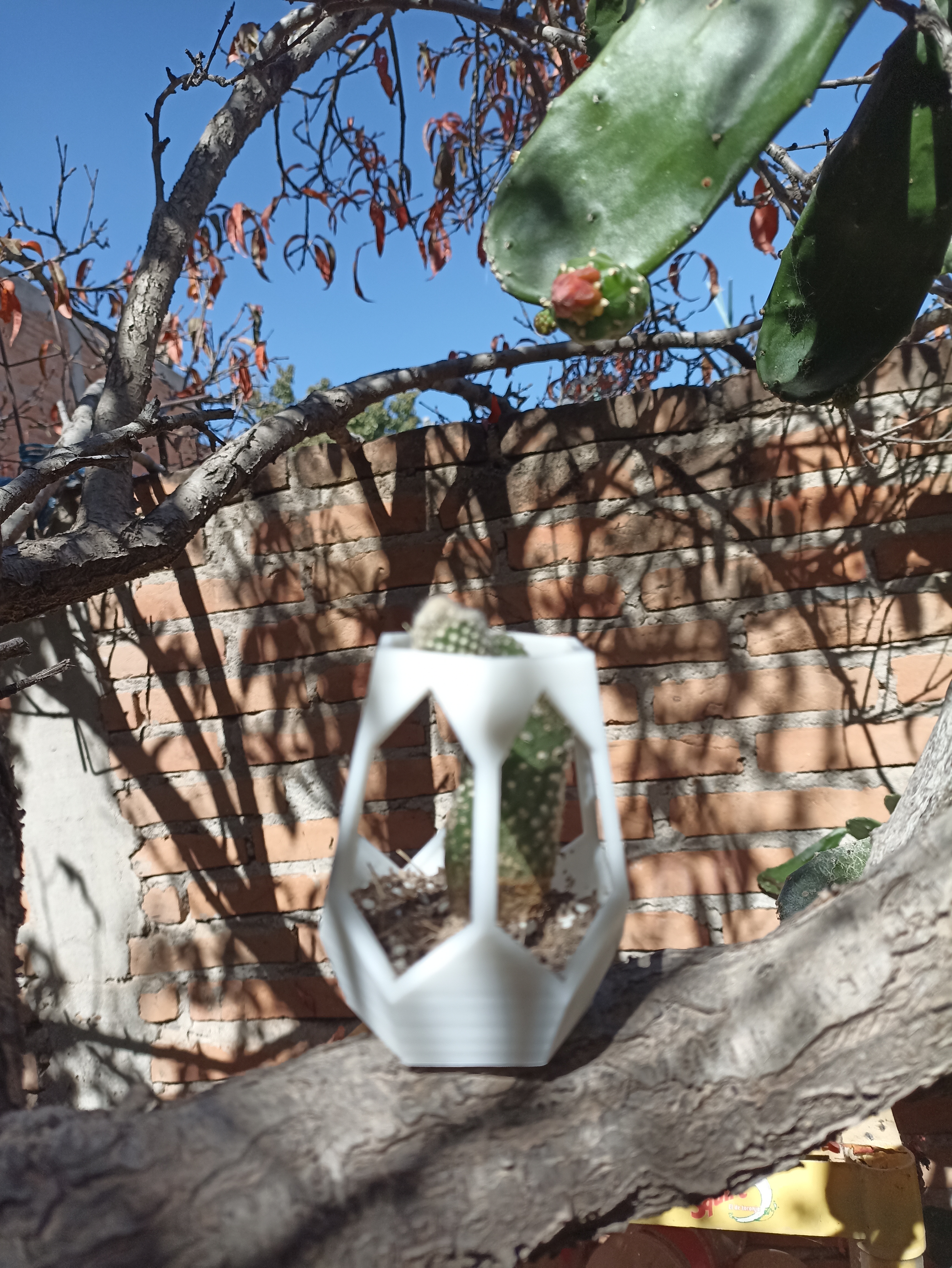Miniatura 5 do modelo 3D hexagonal planter for tree
