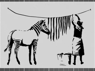 Banksy＇s A Woman Washing Zebra Stripes - 2 Color w/filament