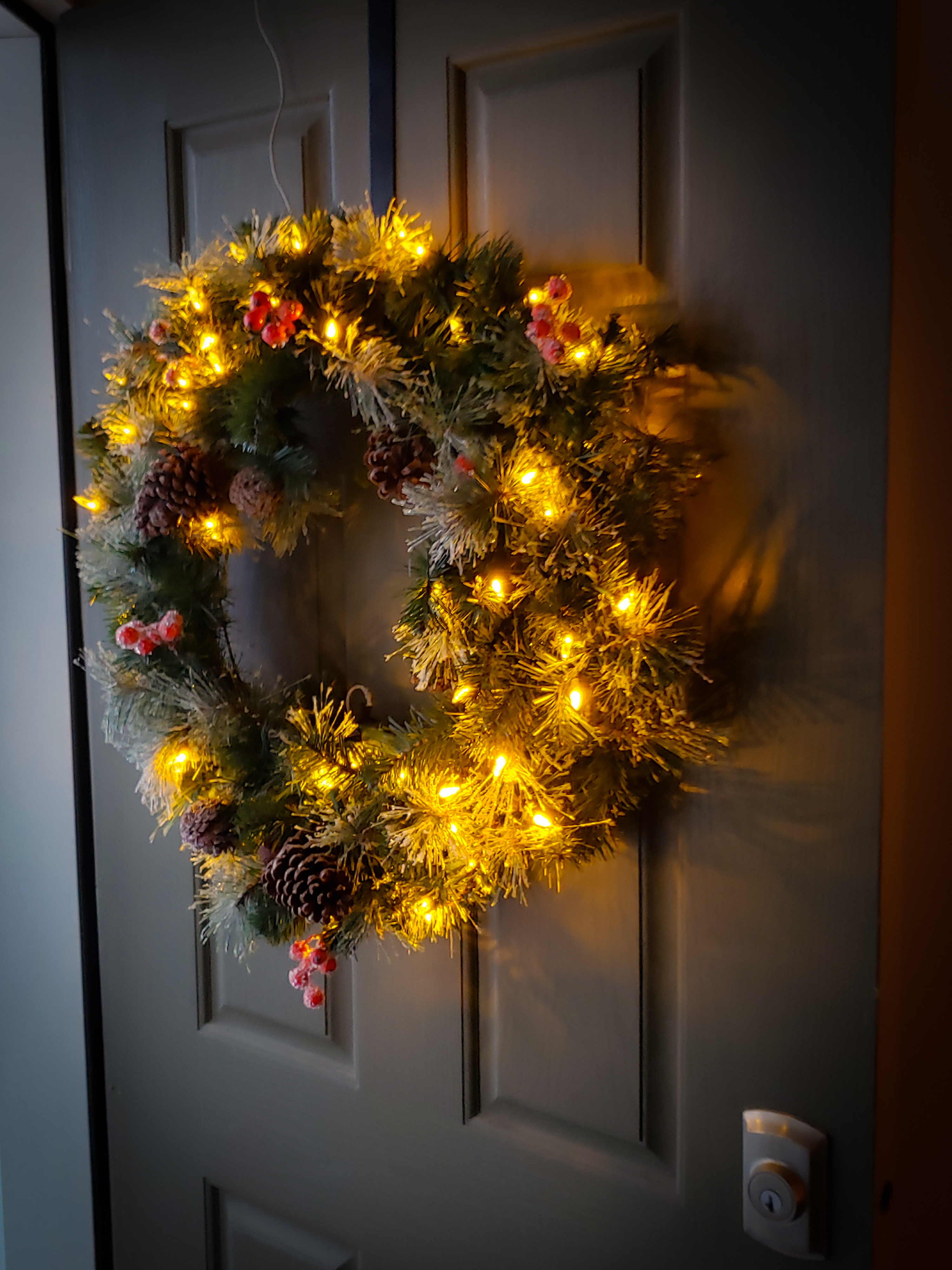 Christmas Lighted Decoration Battery Eliminator