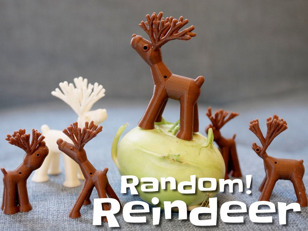 Reindeer
