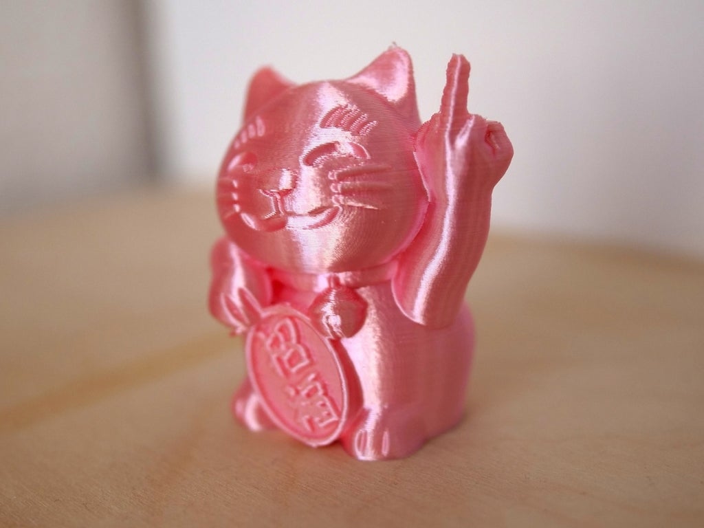 Naka yubi neko (Rude cat)