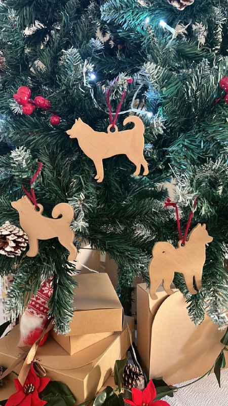 Christmas Husky
