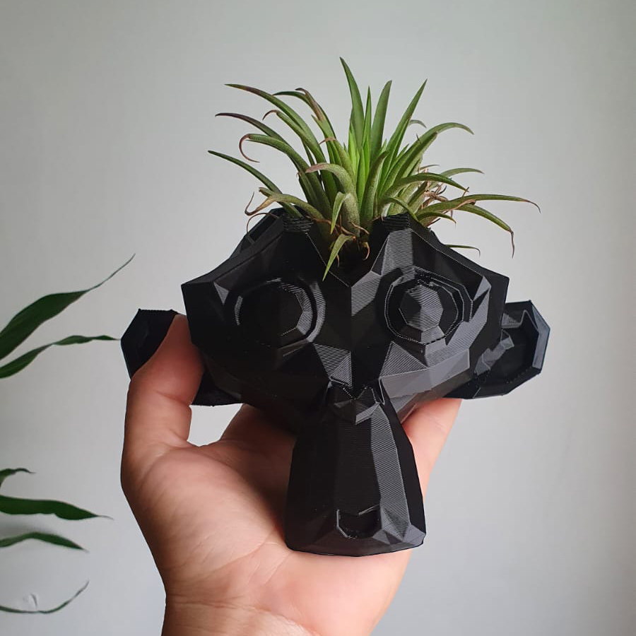 Suzanne Vase (Blender Monkey)