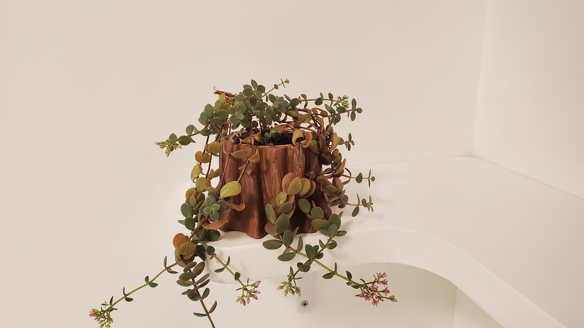 Stump Planter and Pen Holder
