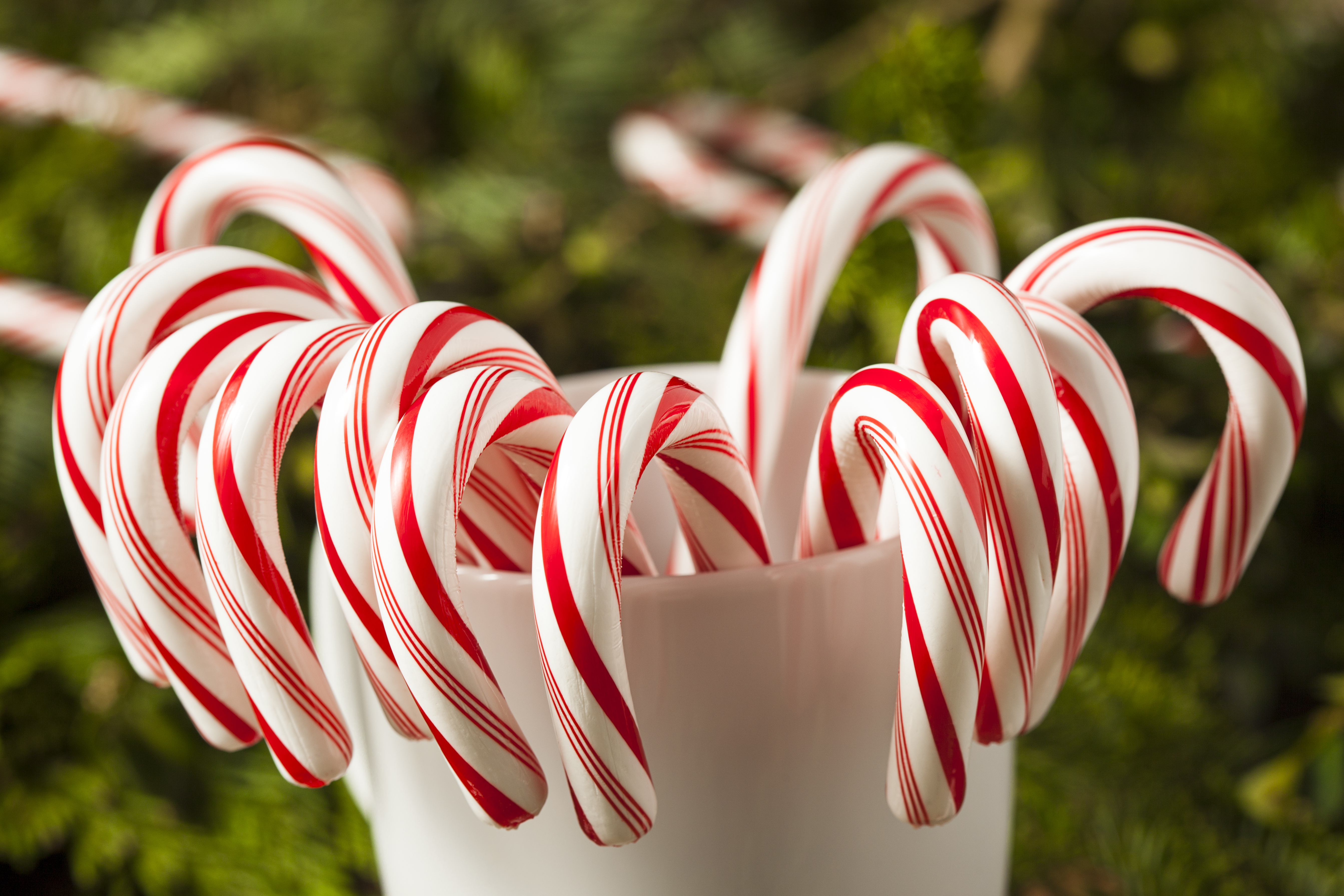 Candy Cane