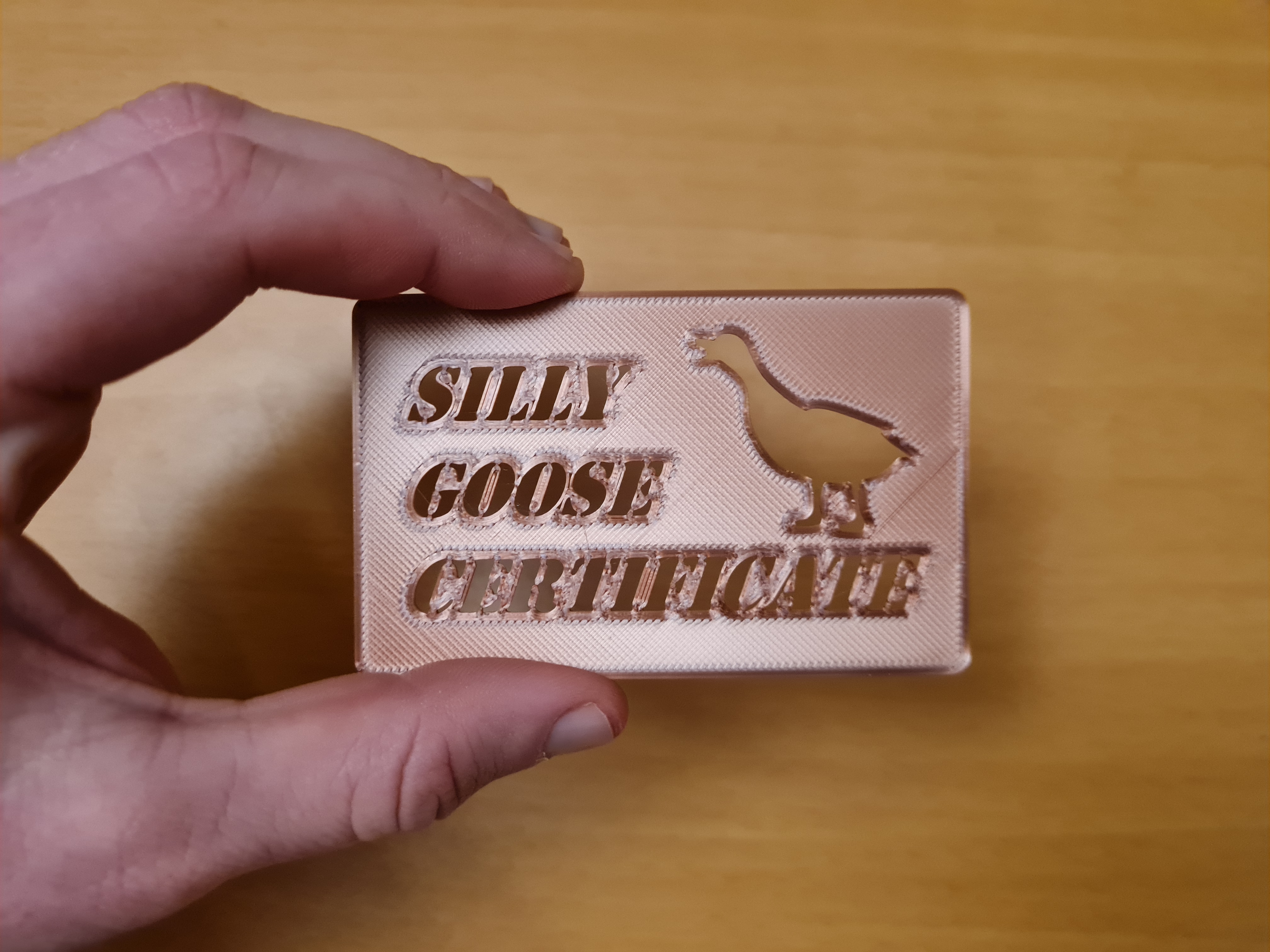 Silly Goose Certificate