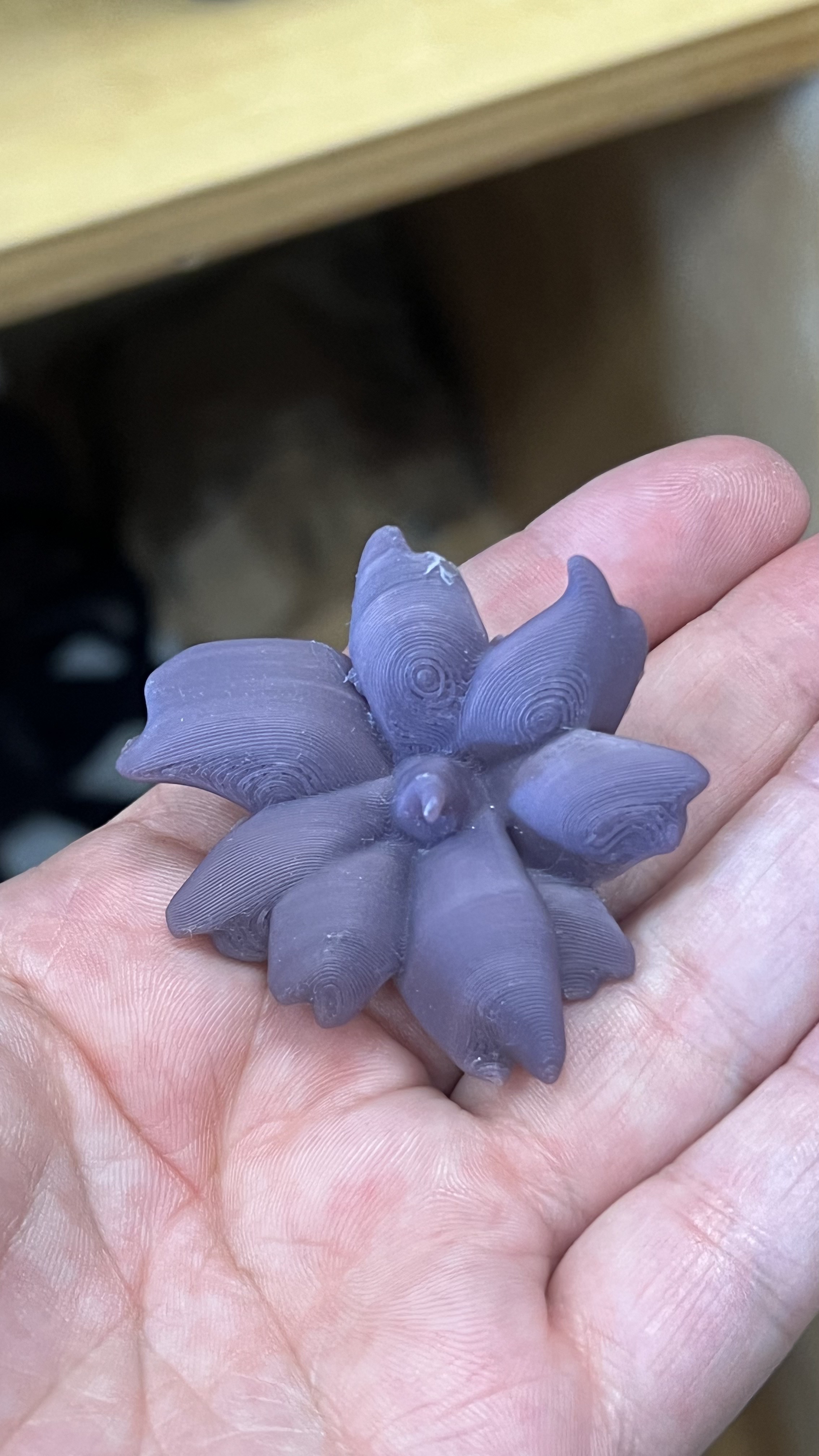 Flower Model