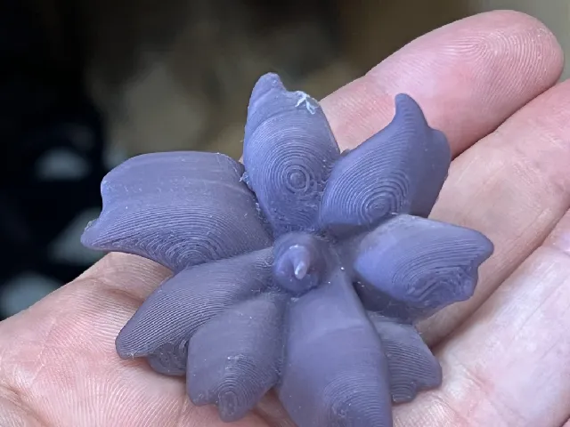 Flower Model