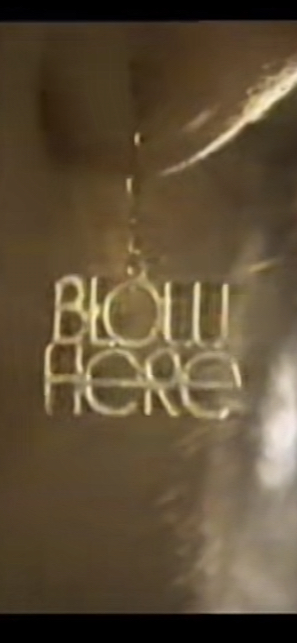 Blow Here Earring By M. Fritz Friedman