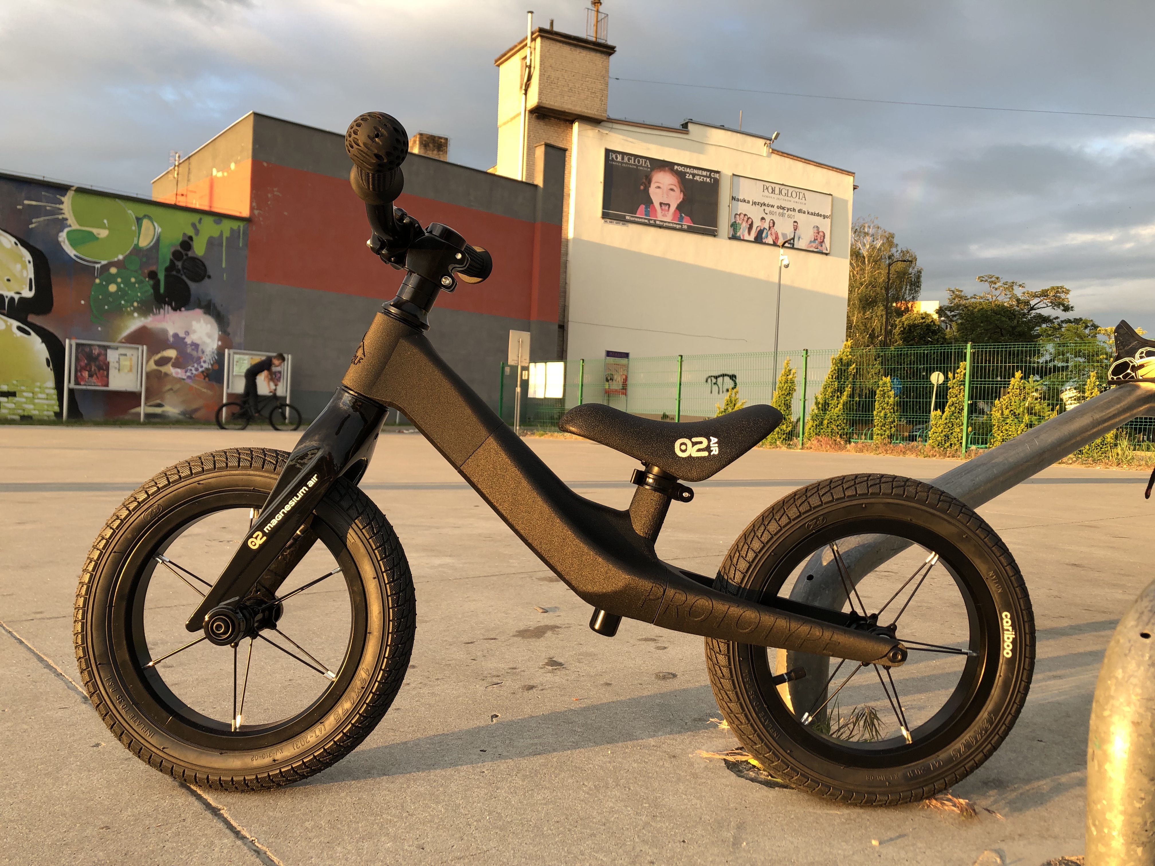 WildWolf bike frame PROTOTYPE