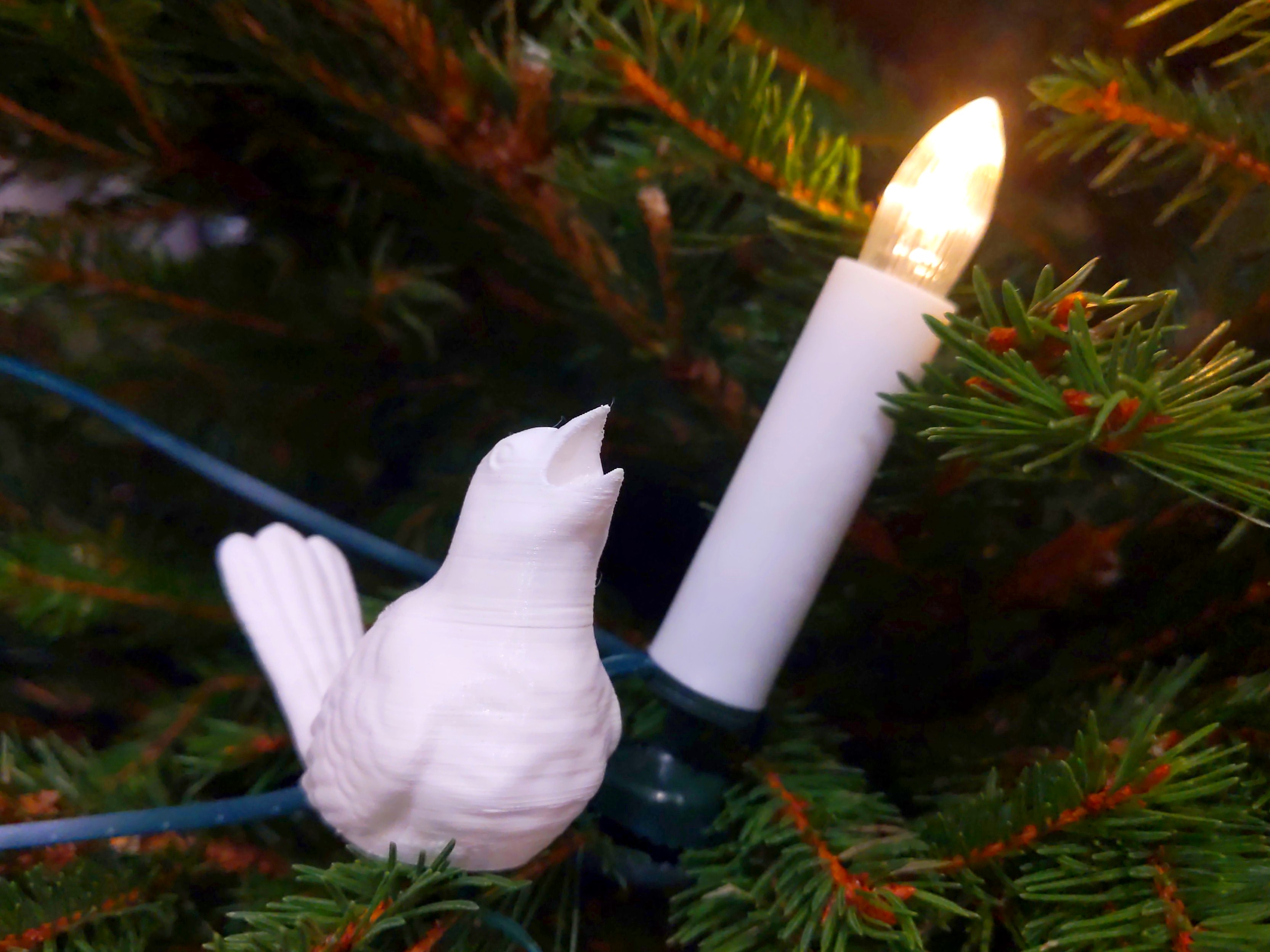 Christmas tree bird