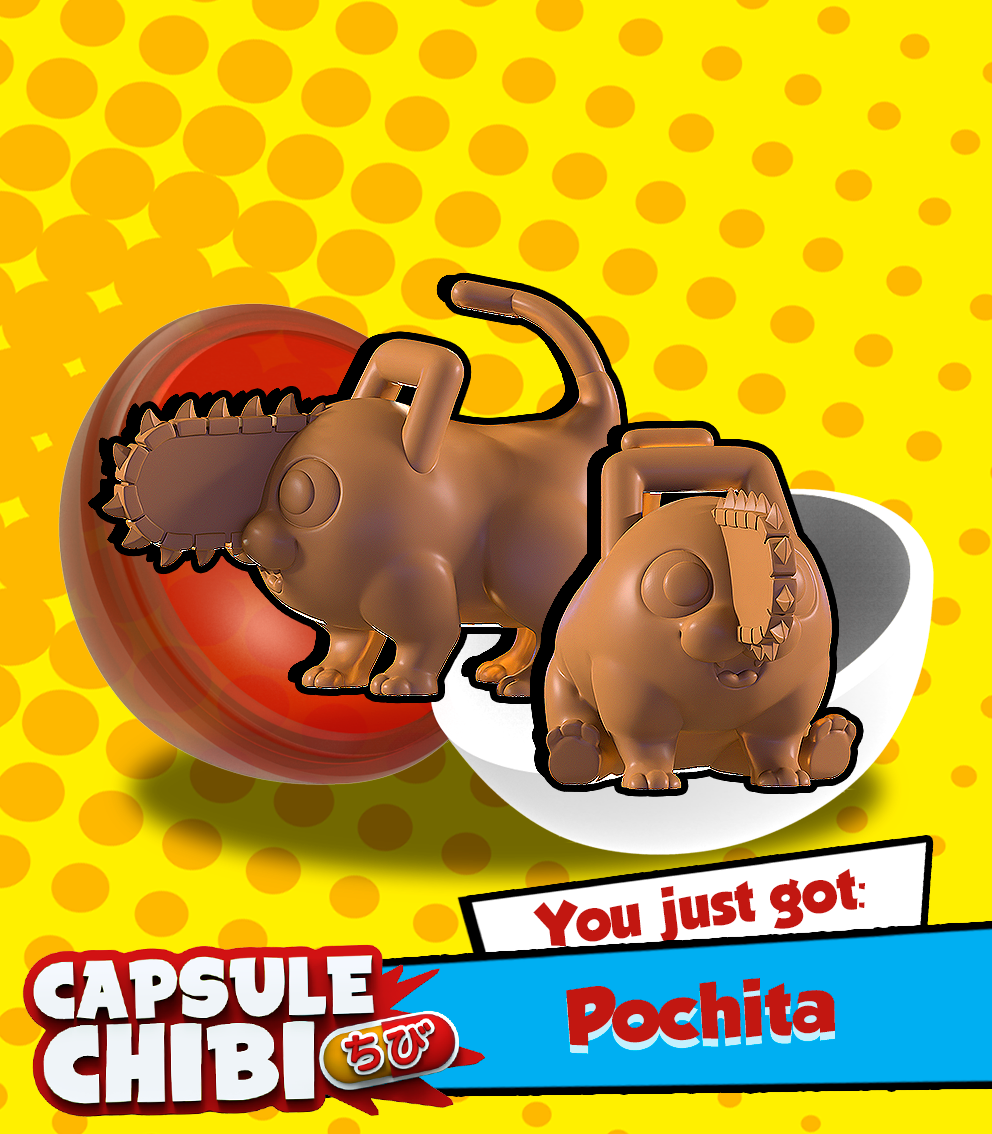 Pochita