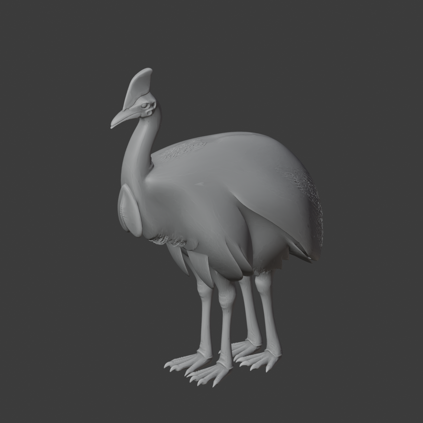 Cassowary
