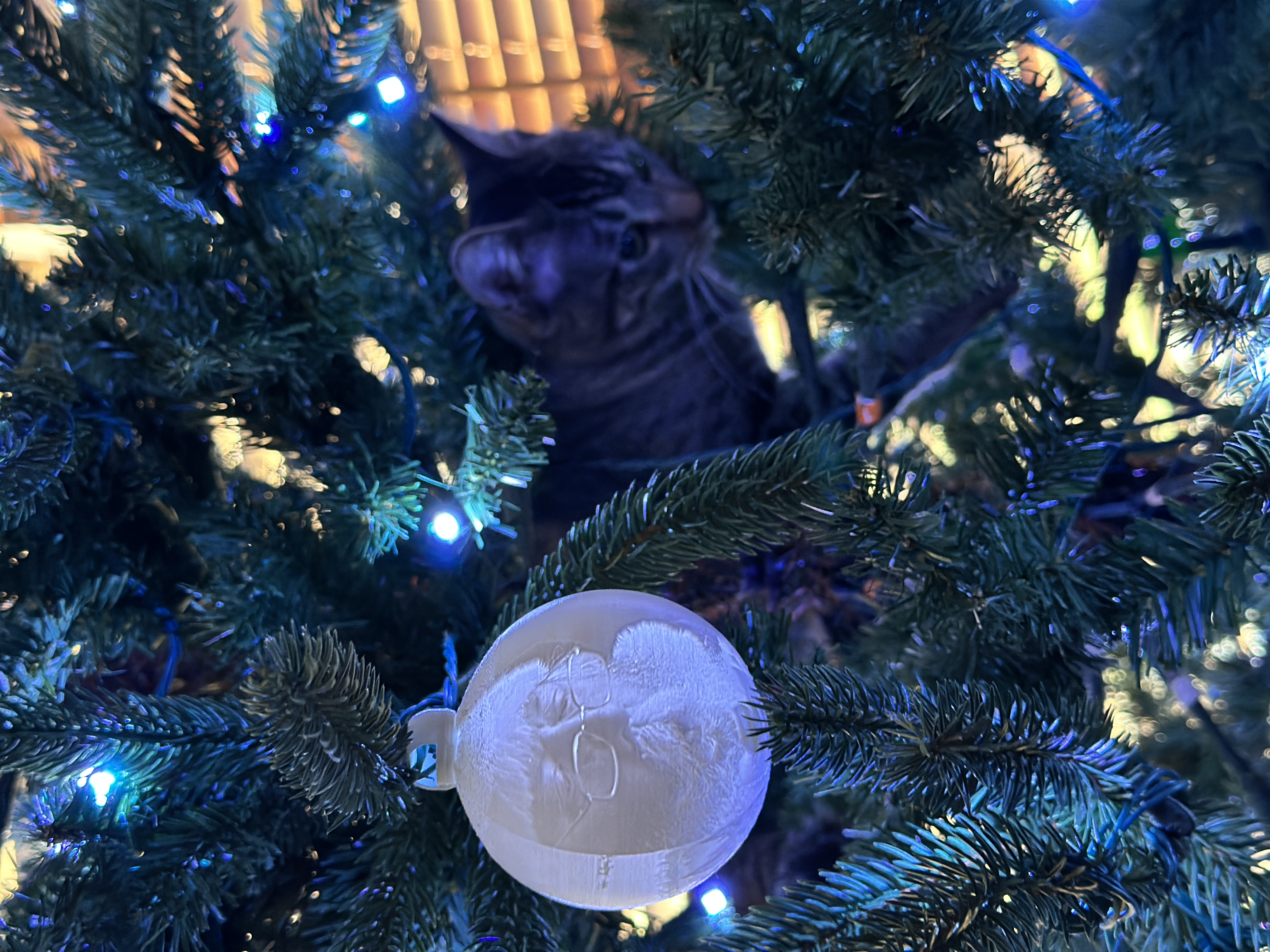 Lithophane Ornament Light Clip