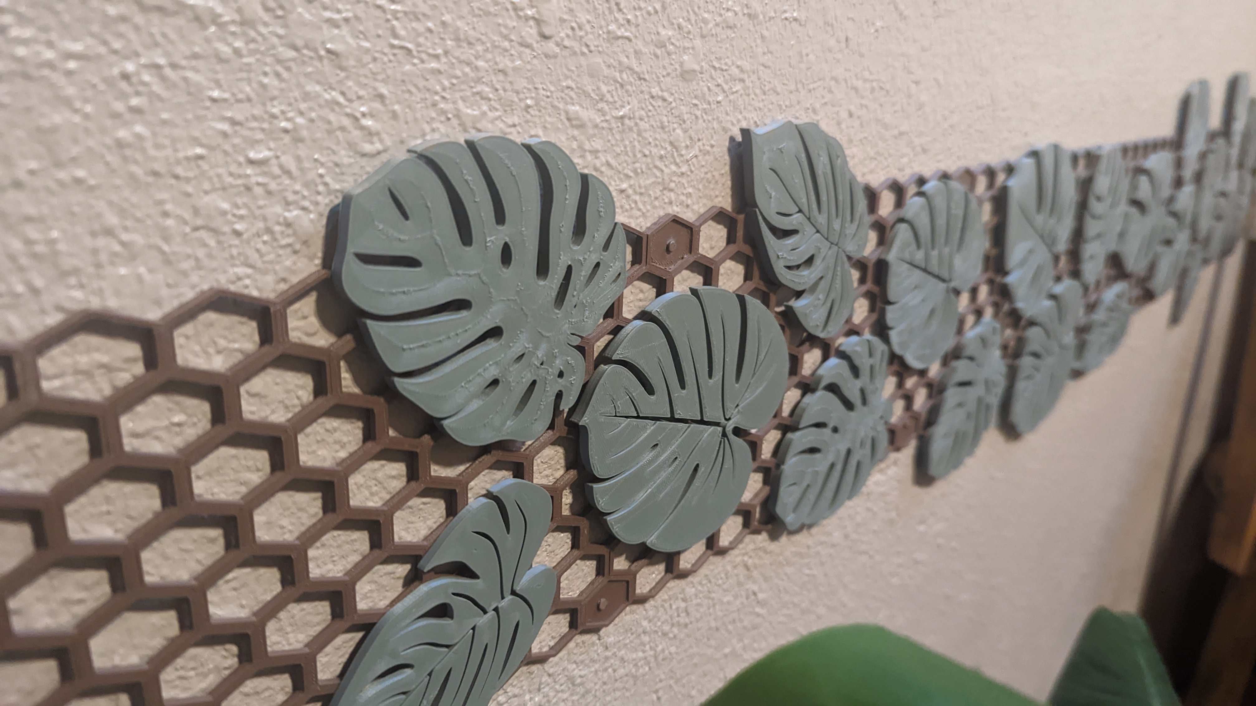 Monstera Leaves Pack