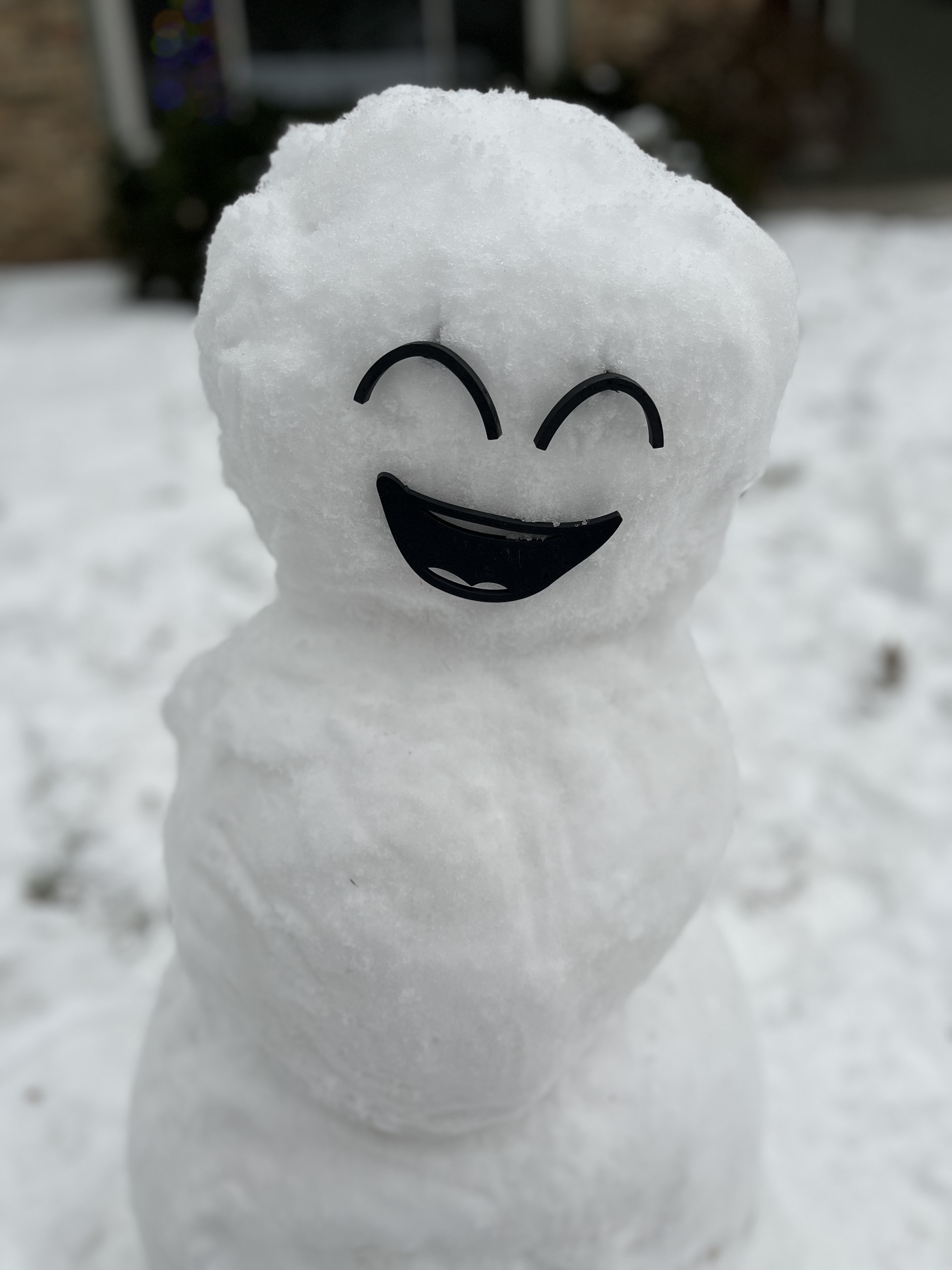 Happy Snowman Face by Eyepokerouter | Download free STL model 
