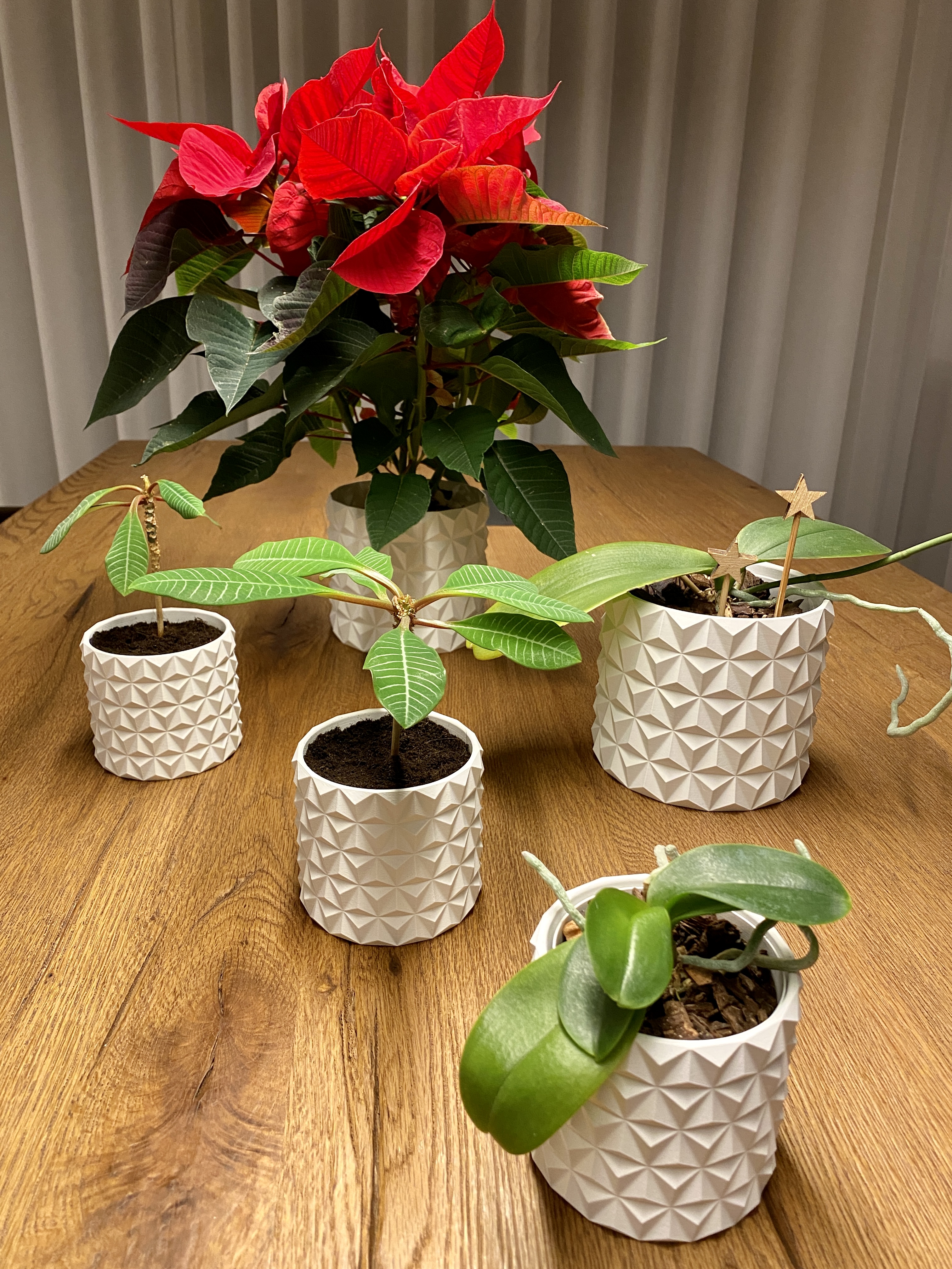 Cactus Plant Pot (watertight) 3D model thumbnail