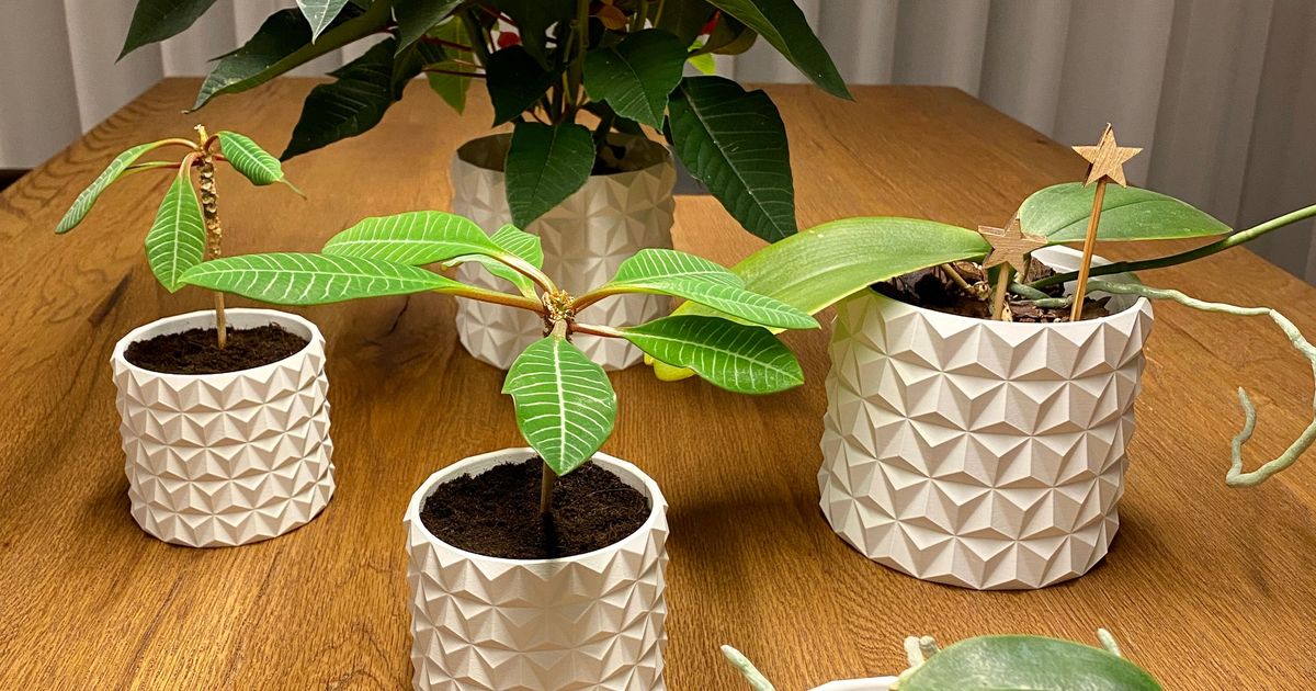 Cactus Plant Pot (watertight) by R3D Download free STL model