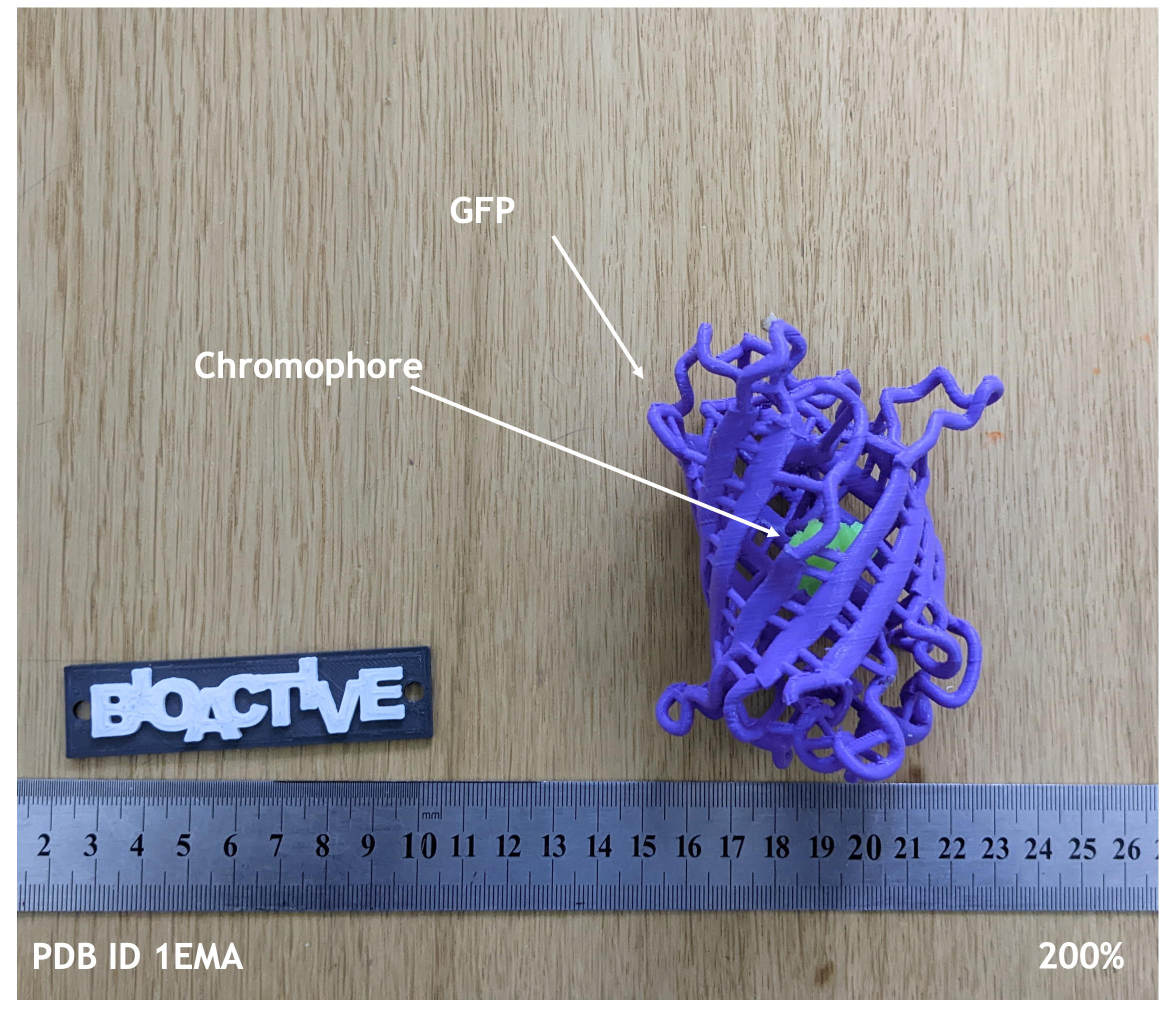 A proper GFP model — miniatura 2