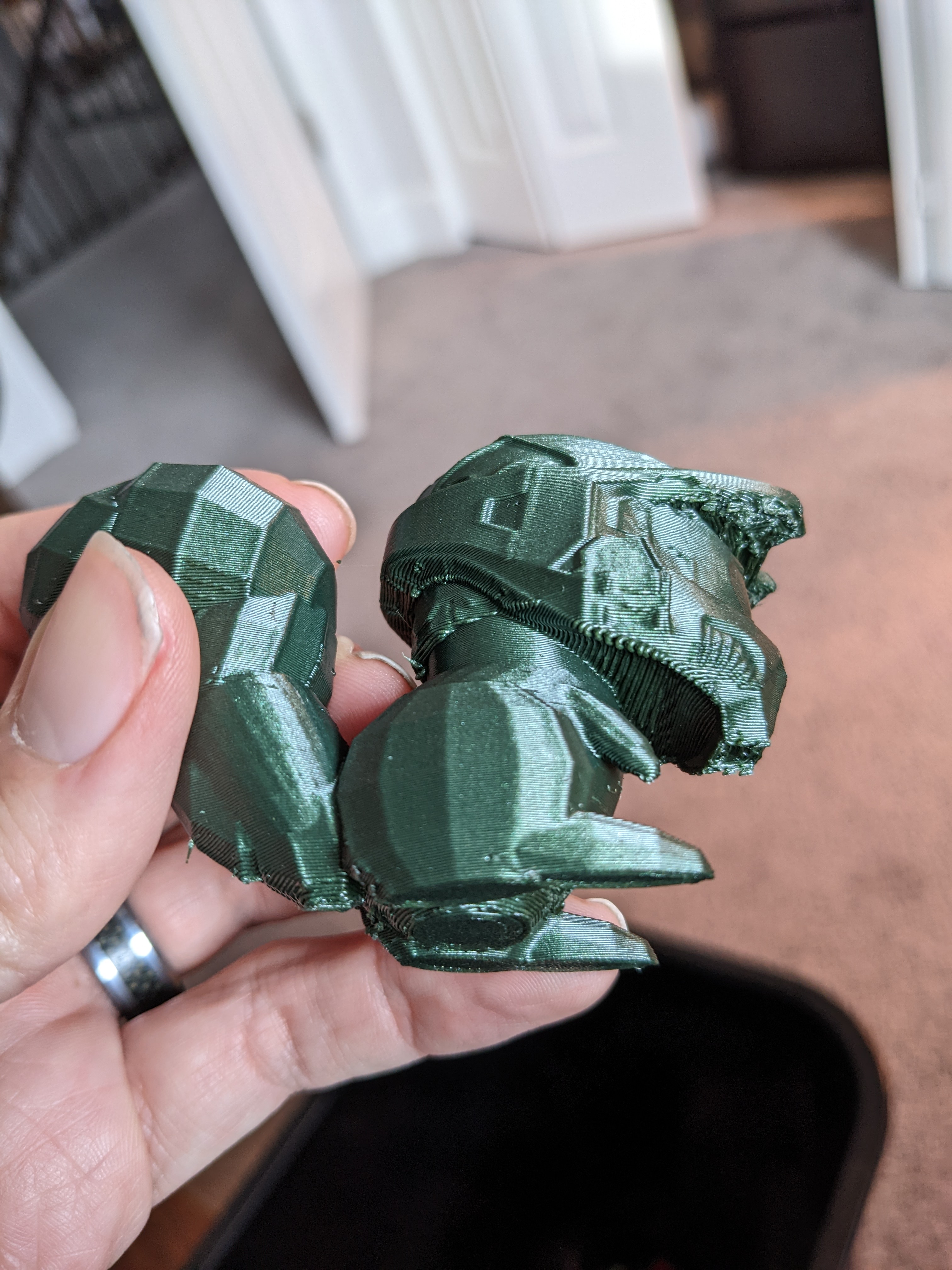 Squirrel wearing Masterchief helmet