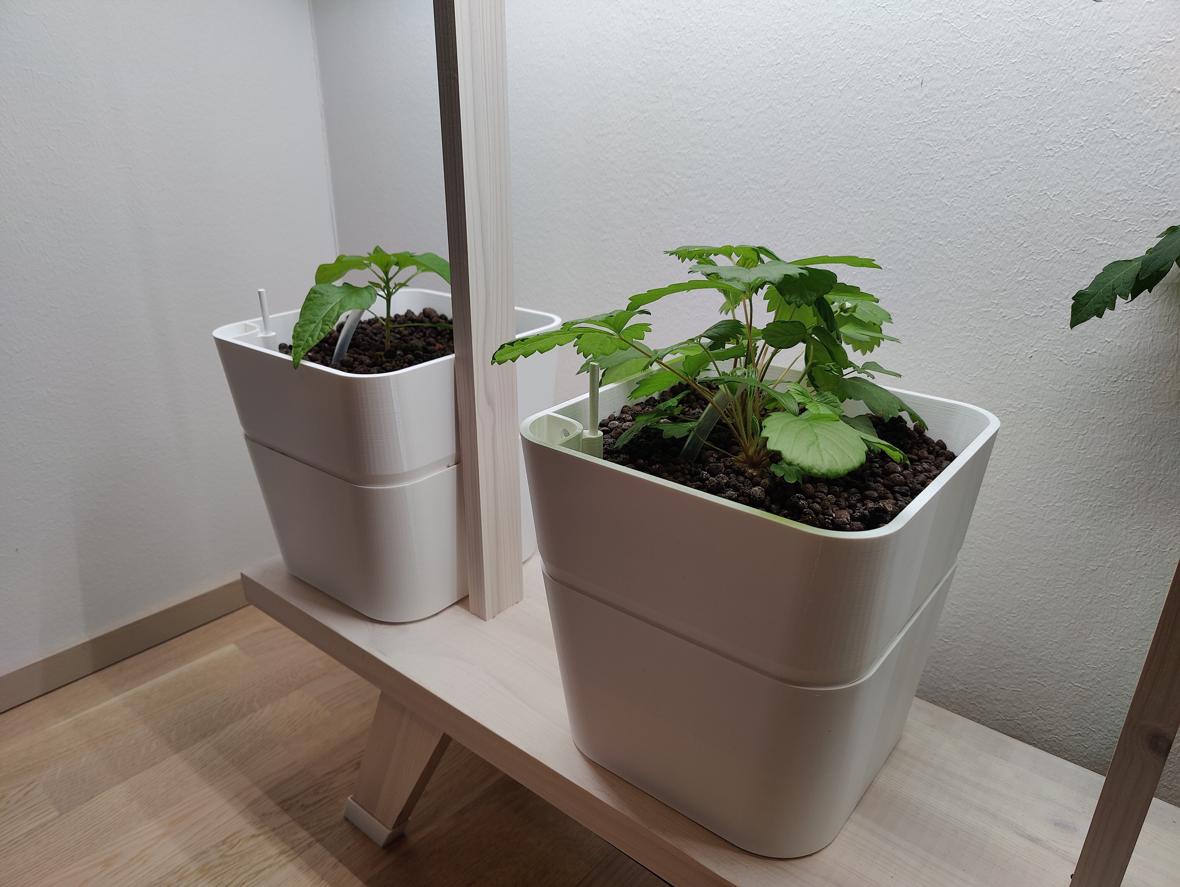Hydroponics pot