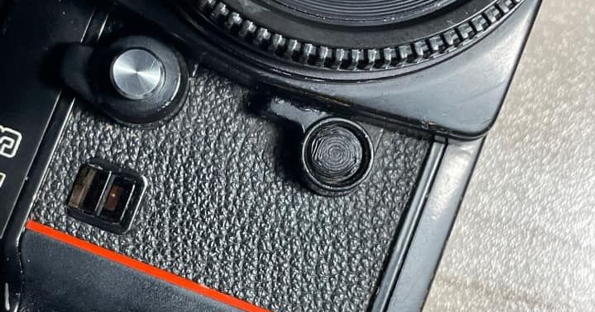 Nikon F3 Exposure Memory Lock Button by didoriginal Download free STL