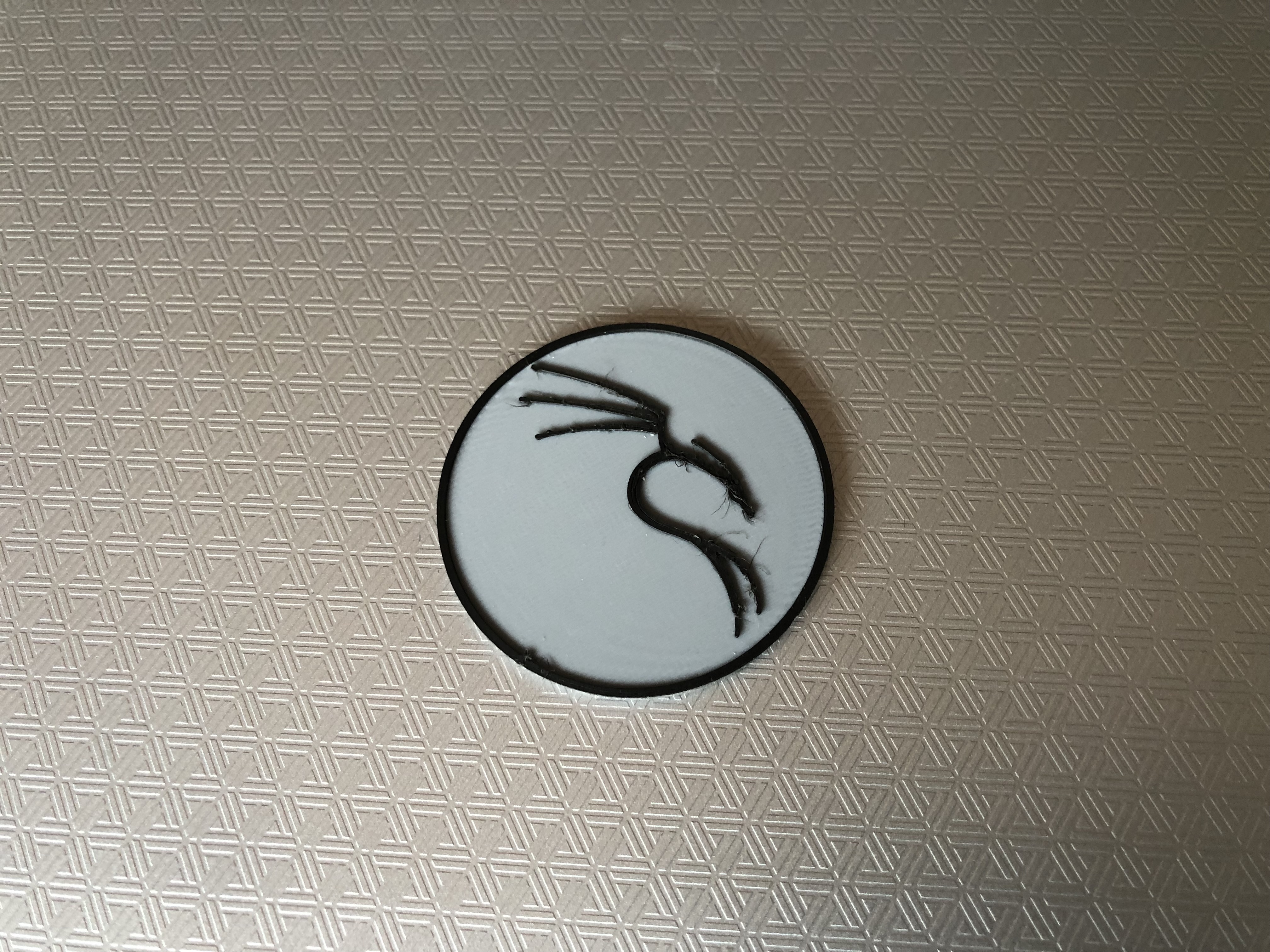Kali Linux Logo
