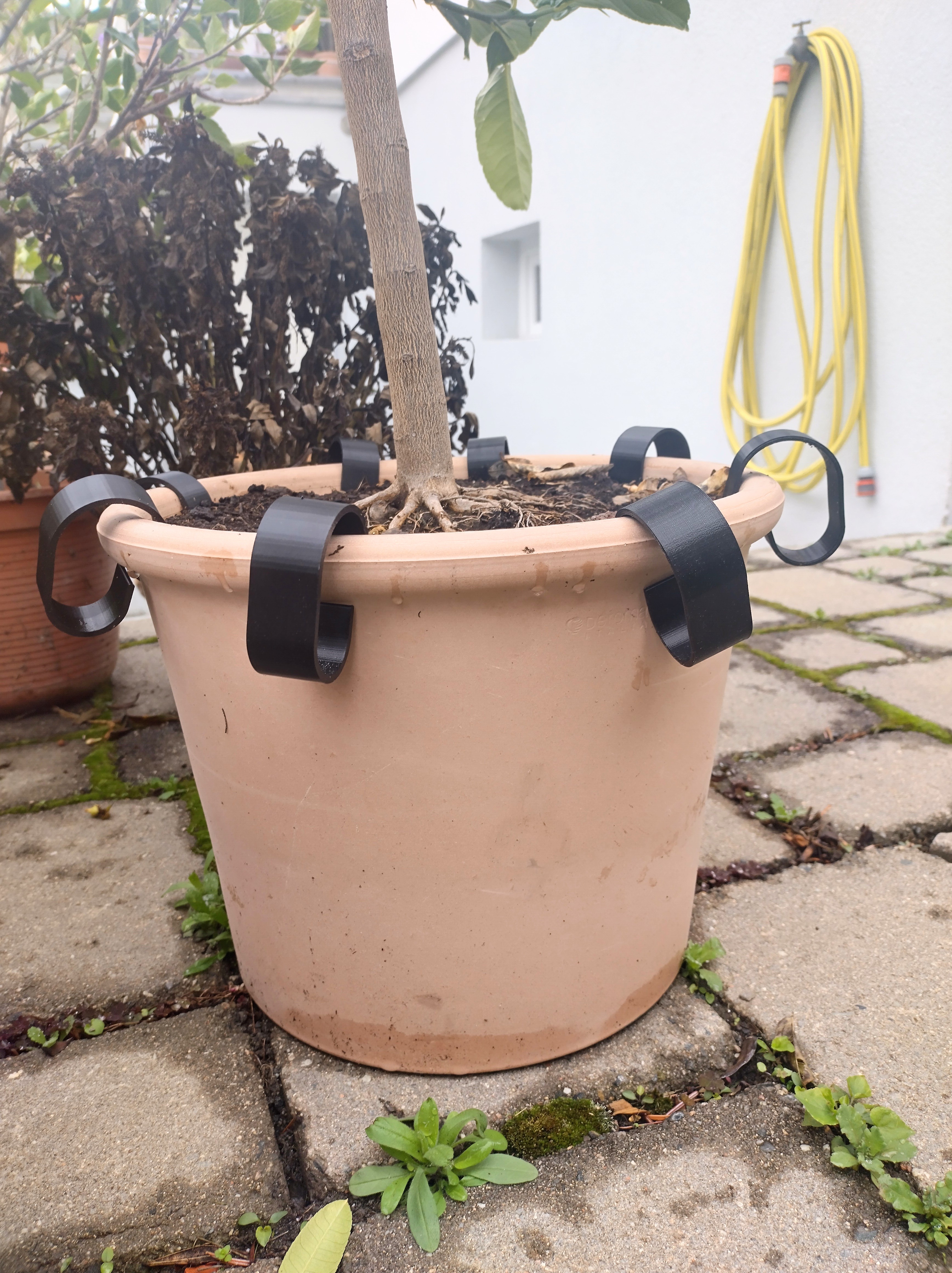 Plant pot protecor