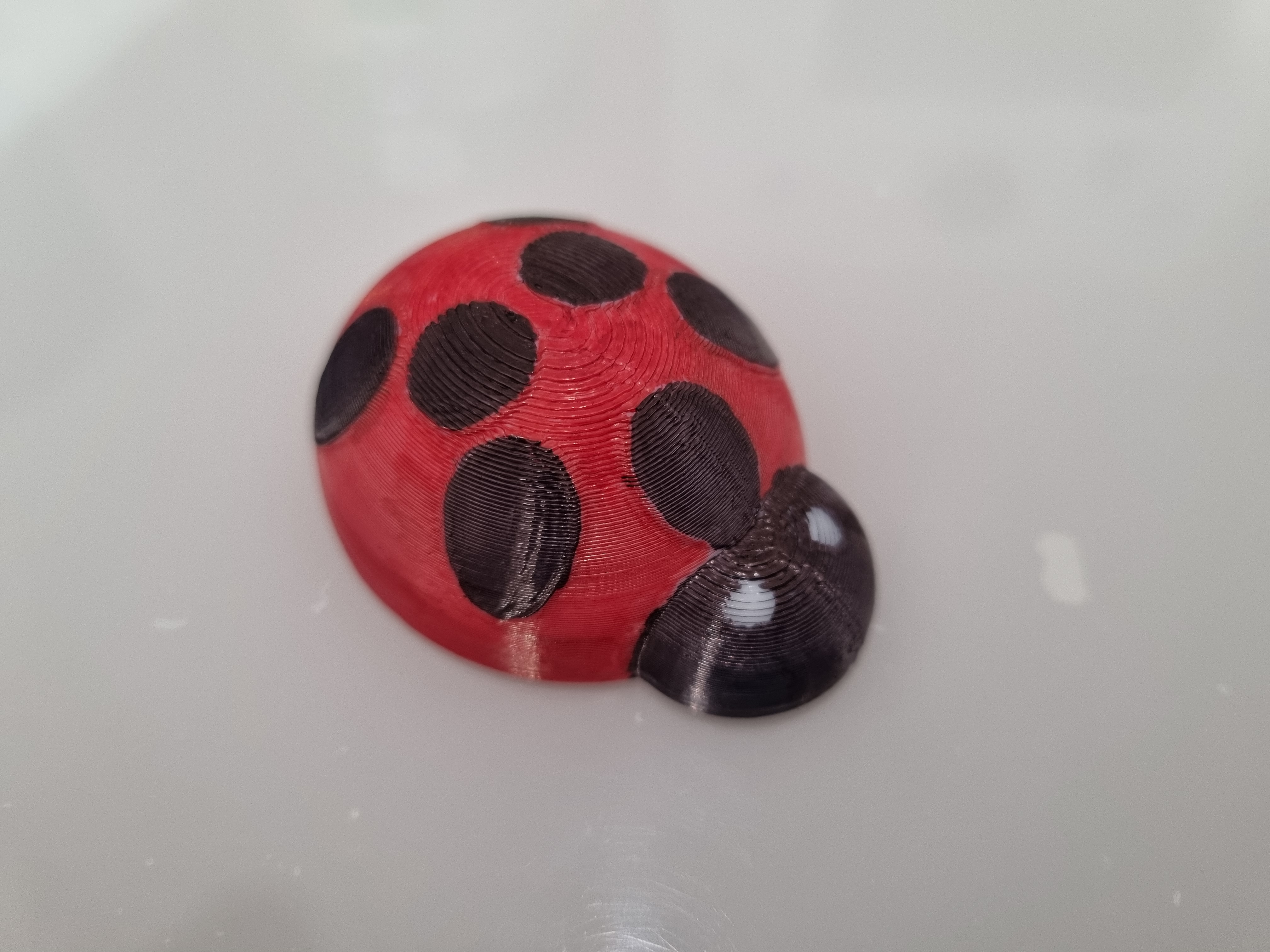 Ladybug