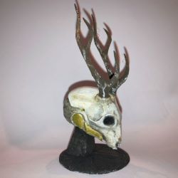 The Stag trophy (From the Exotic Helmet in Destiny 2)