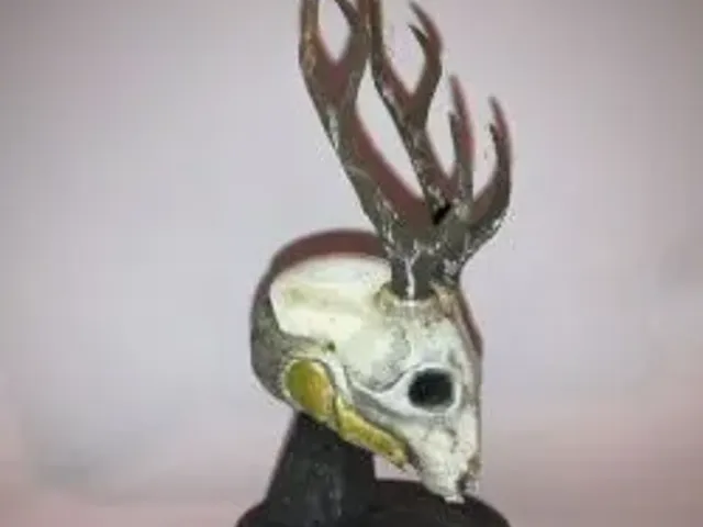 The Stag trophy (From the Exotic Helmet in Destiny 2)