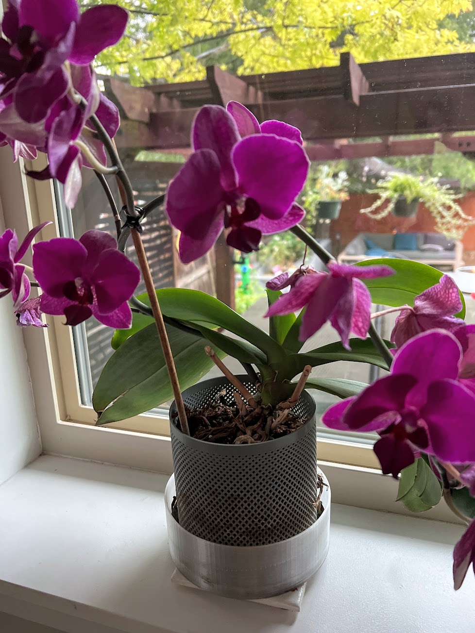 5 and 6 inch custom Orchid Pots