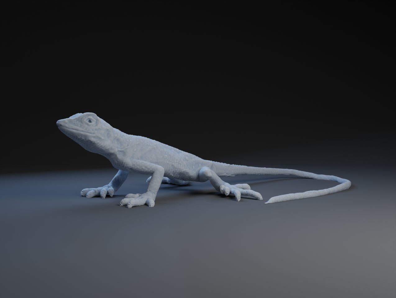 Tree Lizzard