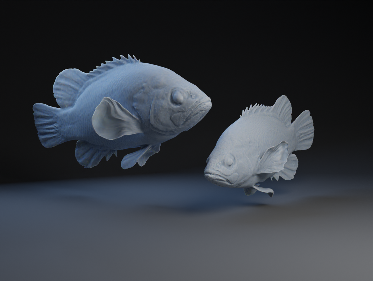 Perch By Peter Farell | Download Free STL Model | Printables.com