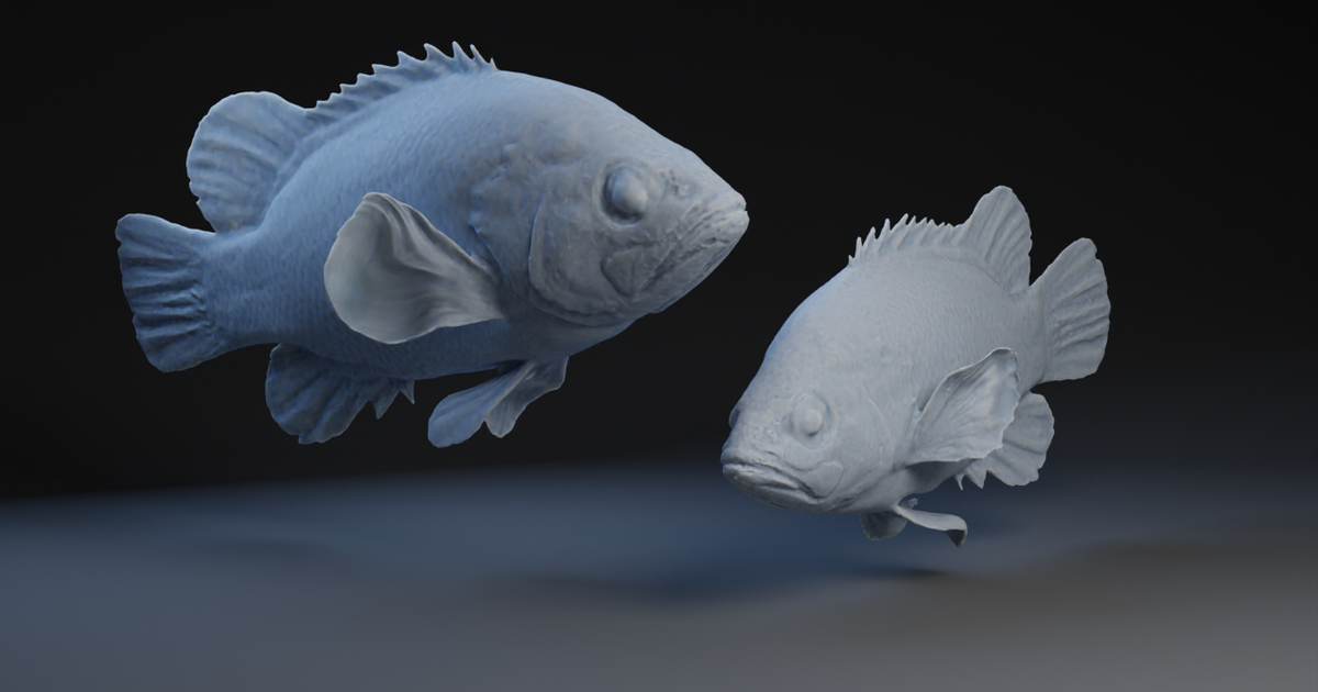 Perch by Peter Farell | Download free STL model | Printables.com