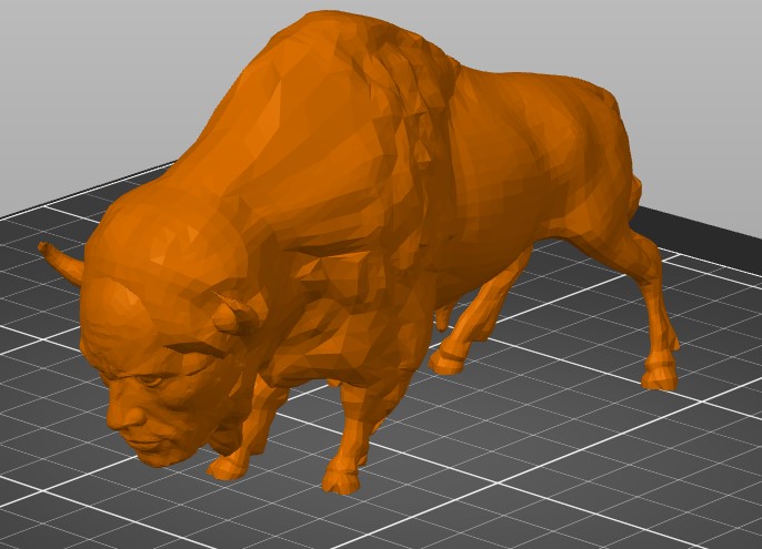 The Rock Bison