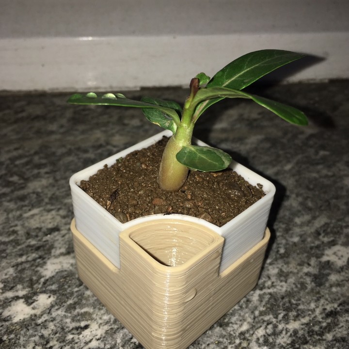 Miniatura 5 do modelo 3D Self Pot Water - Rectangular