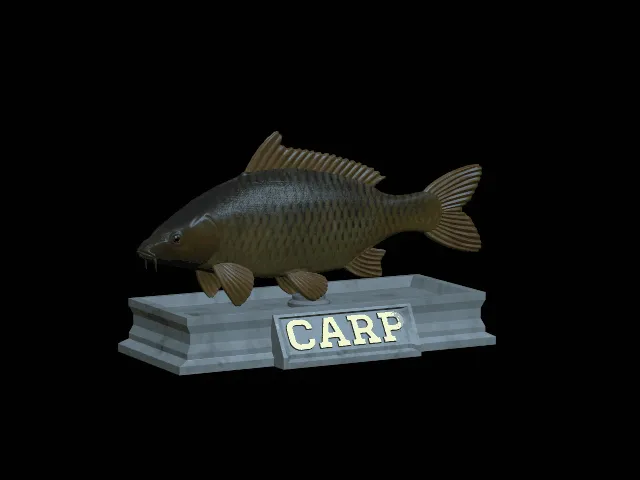 Common Carp Statue with Base – Design 2