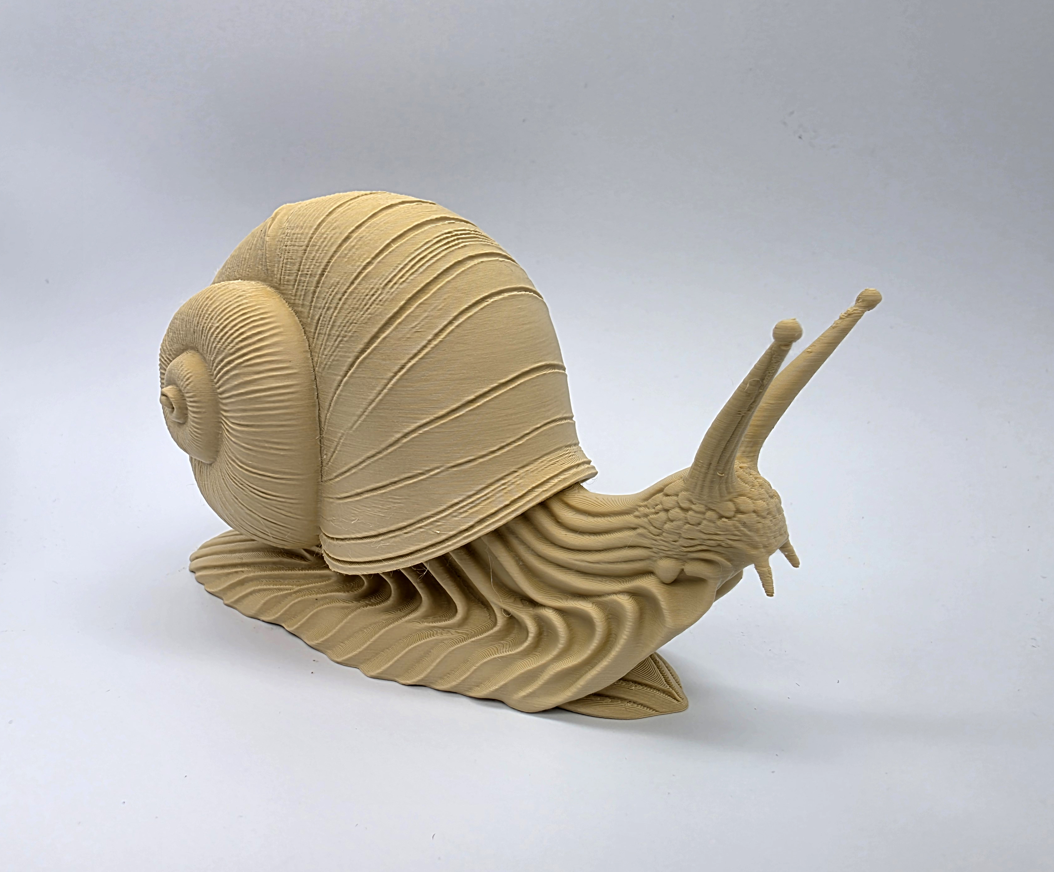 High-Detail Snail