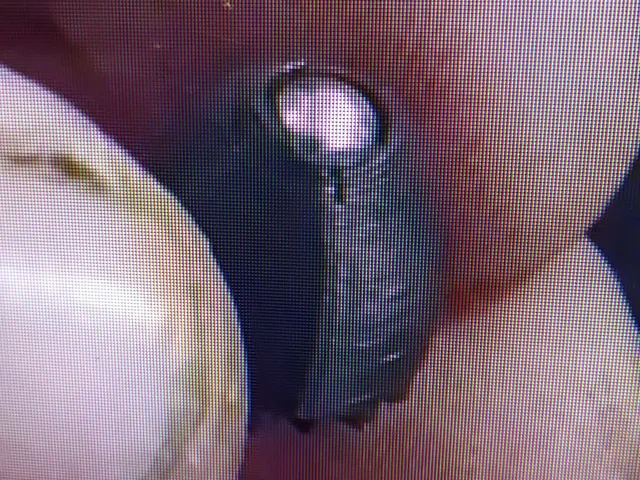 .50 Cal launcher (TDR,HDR) Umarex Slug/Pellet