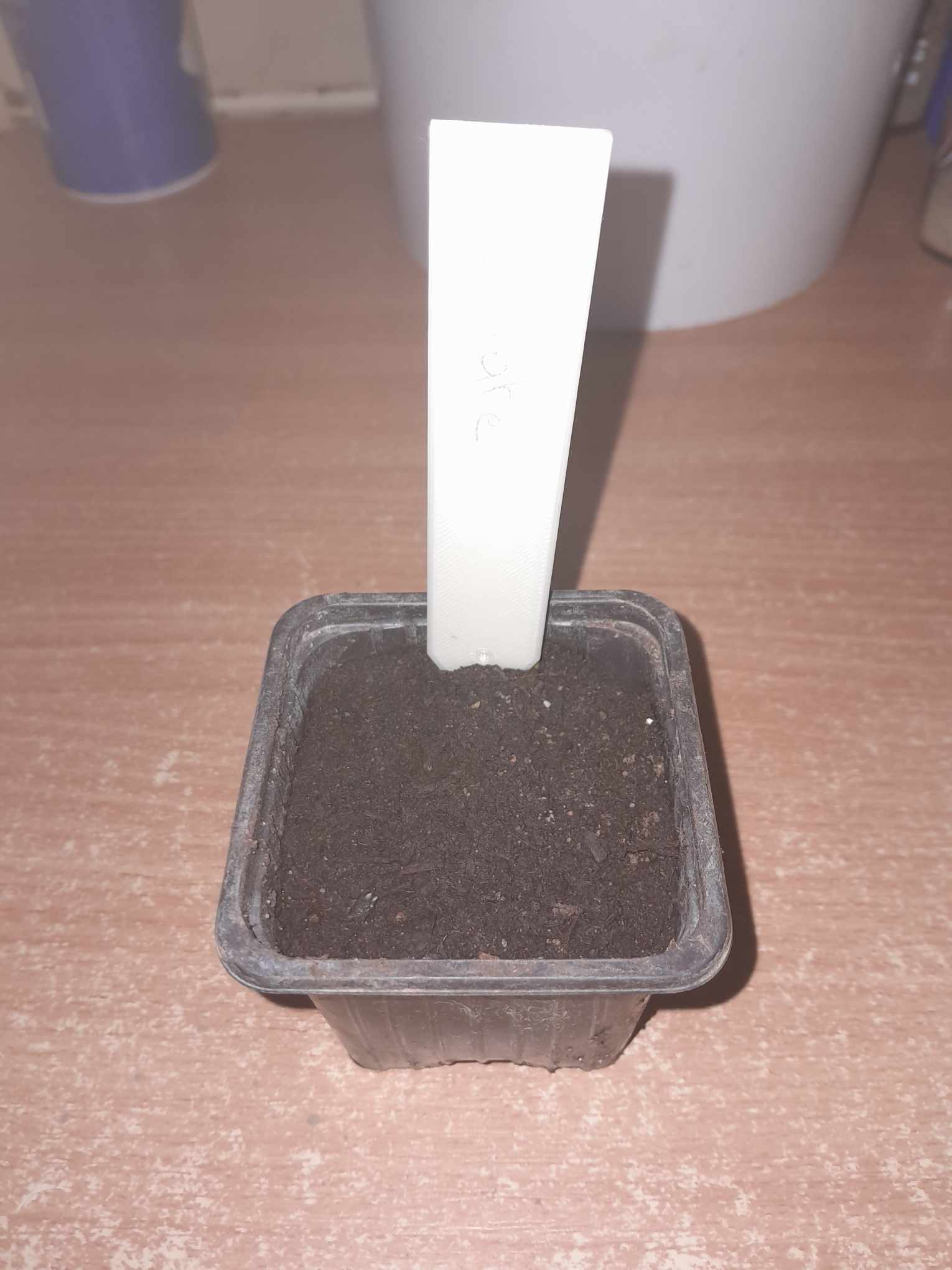 Etiquette de jardin pour vos plants (Plant Label)