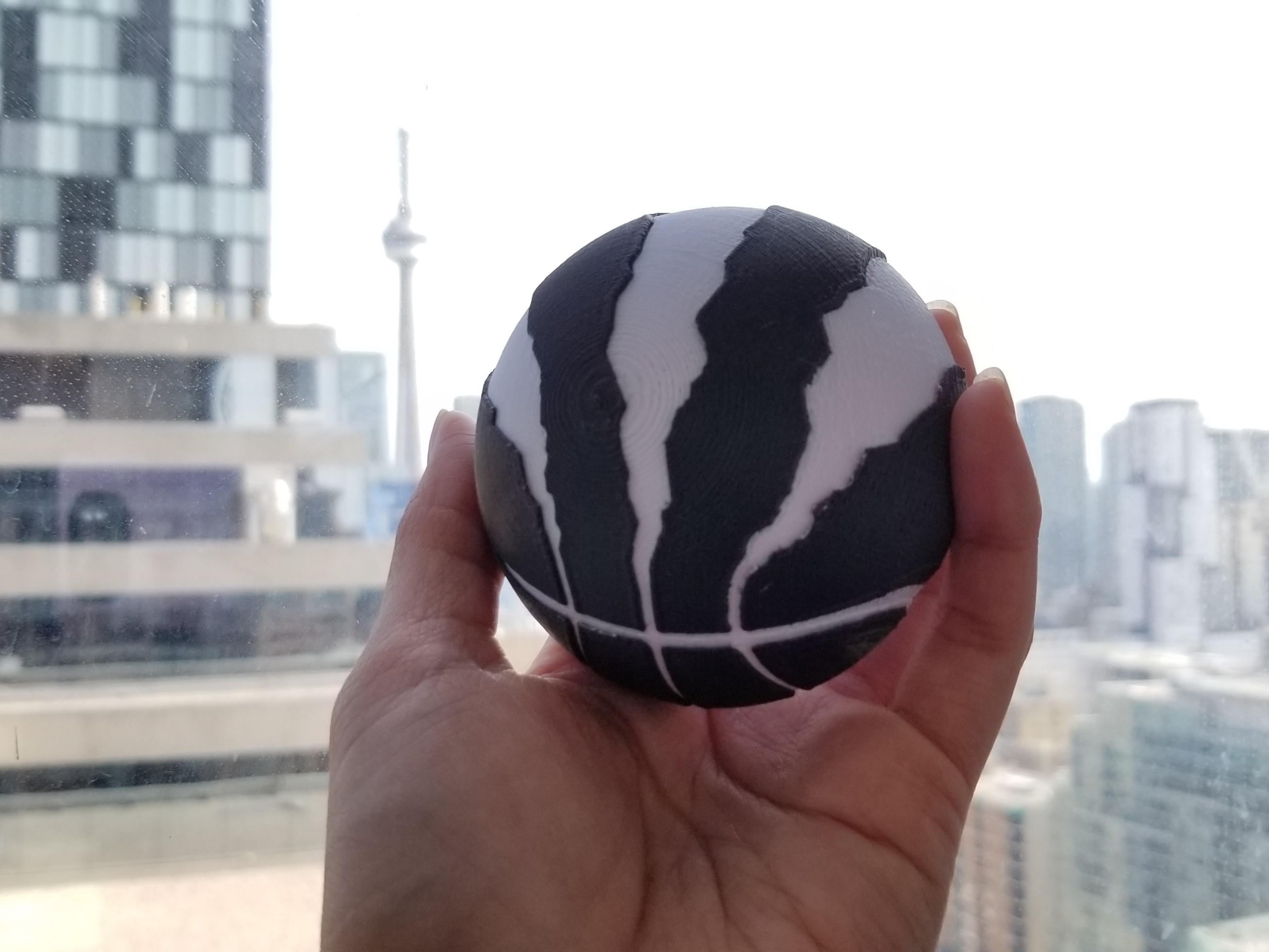 Multi-Color Toronto Raptors Basketball