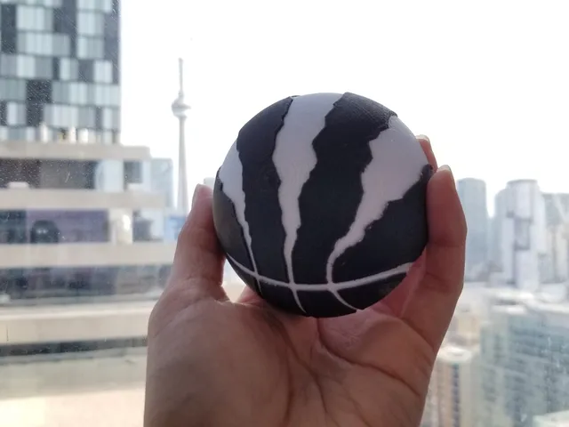 Multi-Color Toronto Raptors Basketball